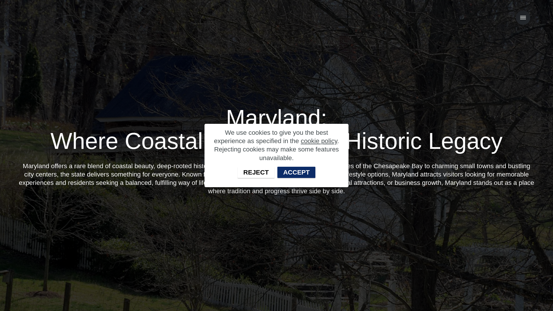 website screenshot of https://mylocalguidemd.com/