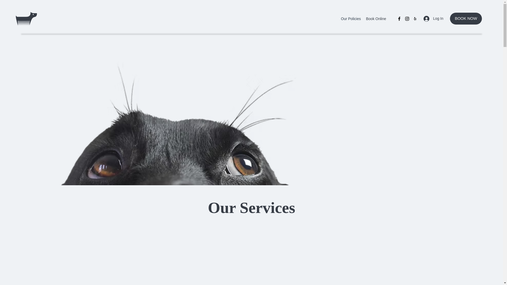 website screenshot of https://hotdoggrooming.ca/