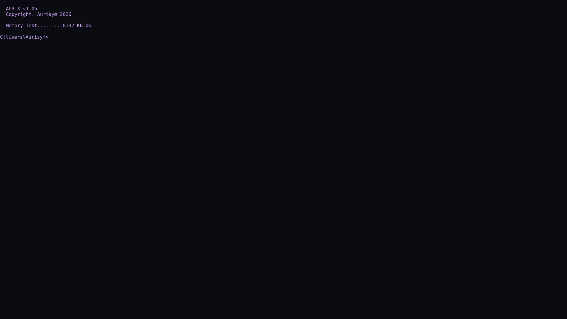 website screenshot of https://aurisym.xyz/