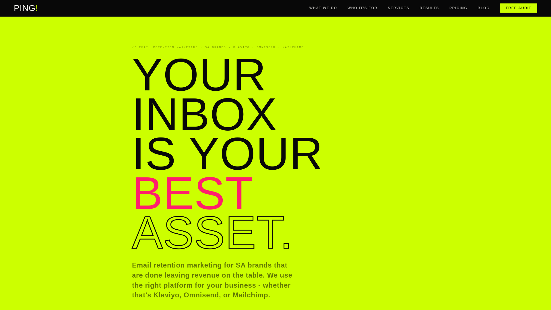 website screenshot of https://pingstudio.co.za