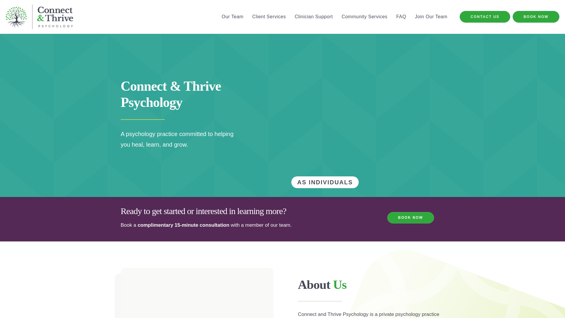 website screenshot of https://connectandthrive.co.in