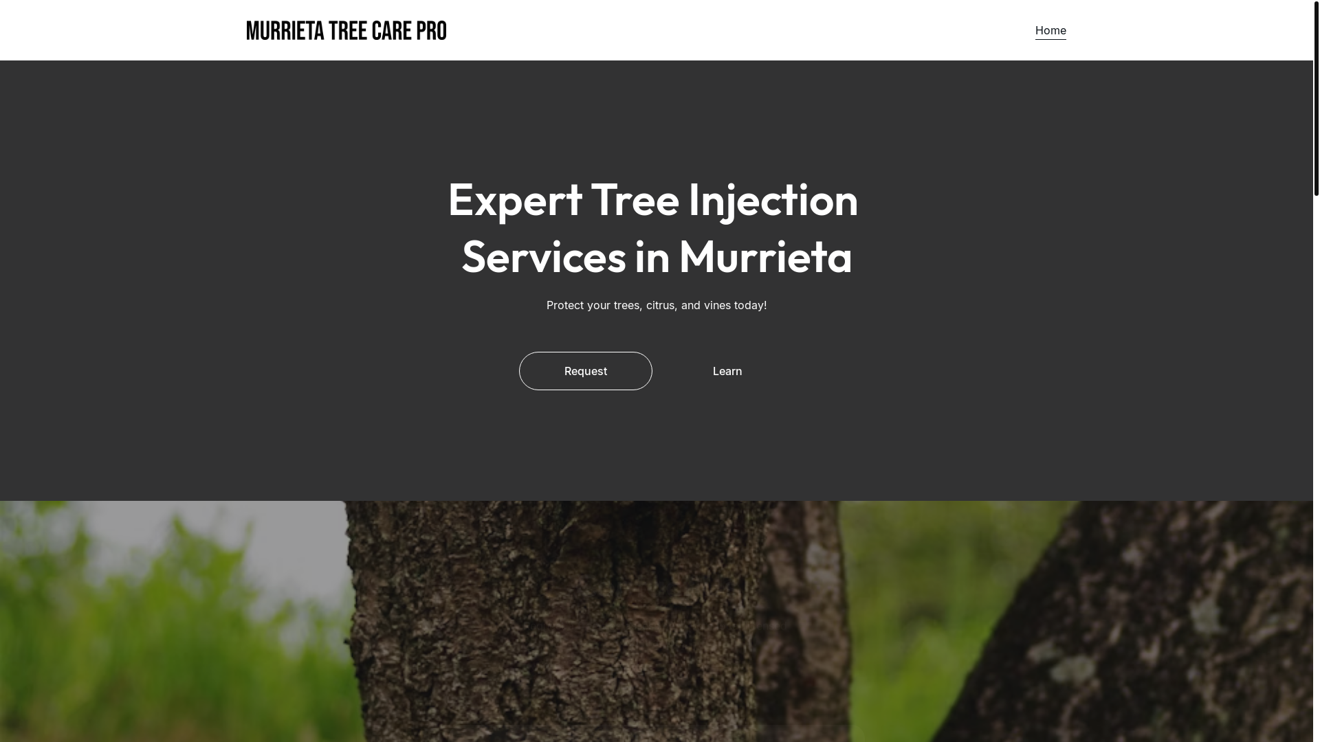 website screenshot of https://murrietatreecarepro.com/
