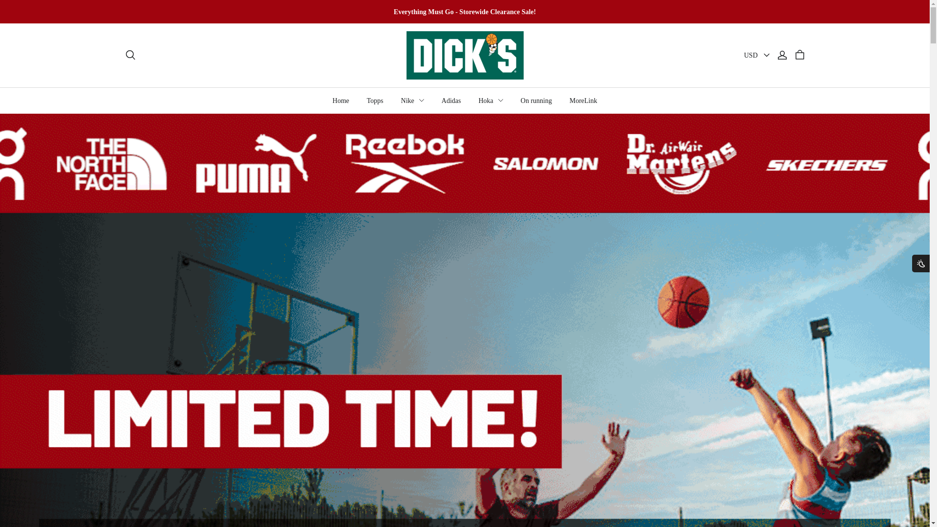 website screenshot of https://dickssalestore.com/
