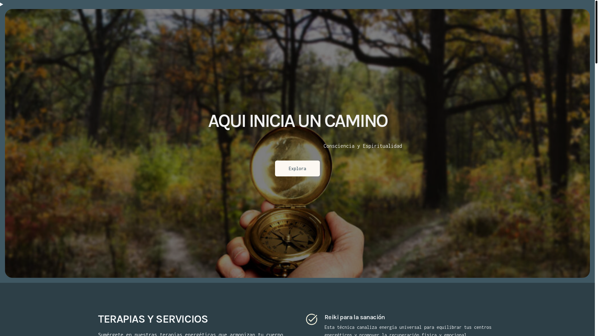 website screenshot of https://amarte-sanarte-crearte.com/