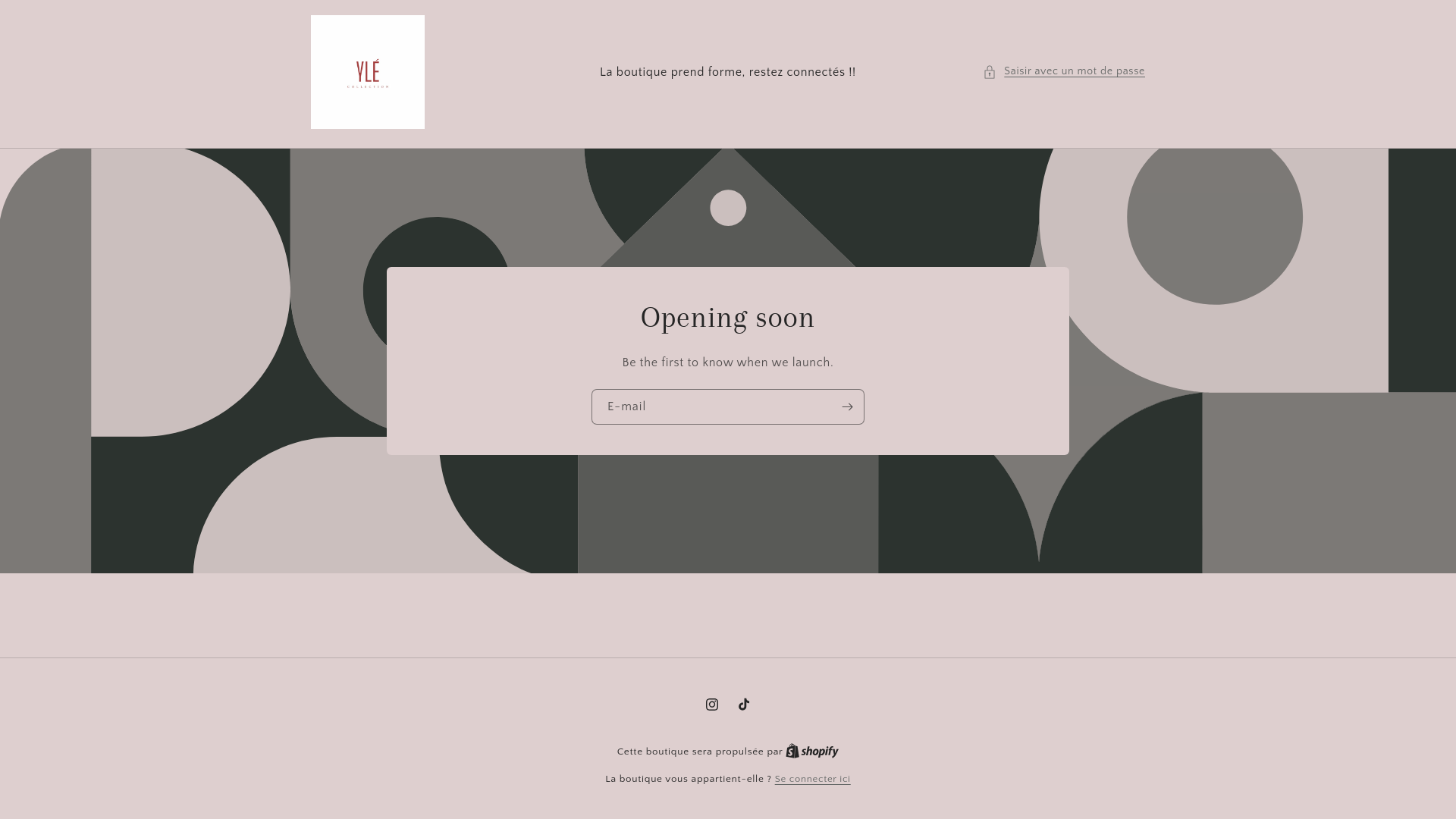website screenshot of https://ylecollection.fr