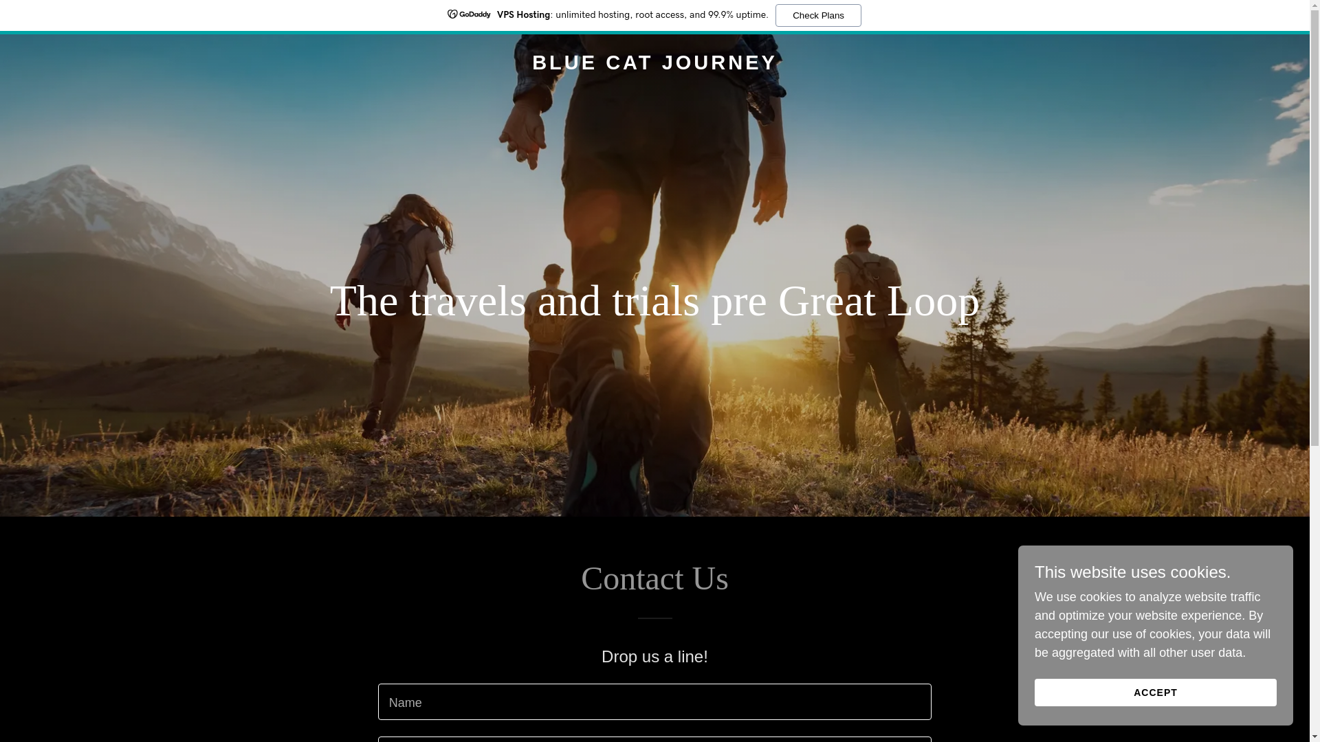 website screenshot of https://bluecatjourney.com/
