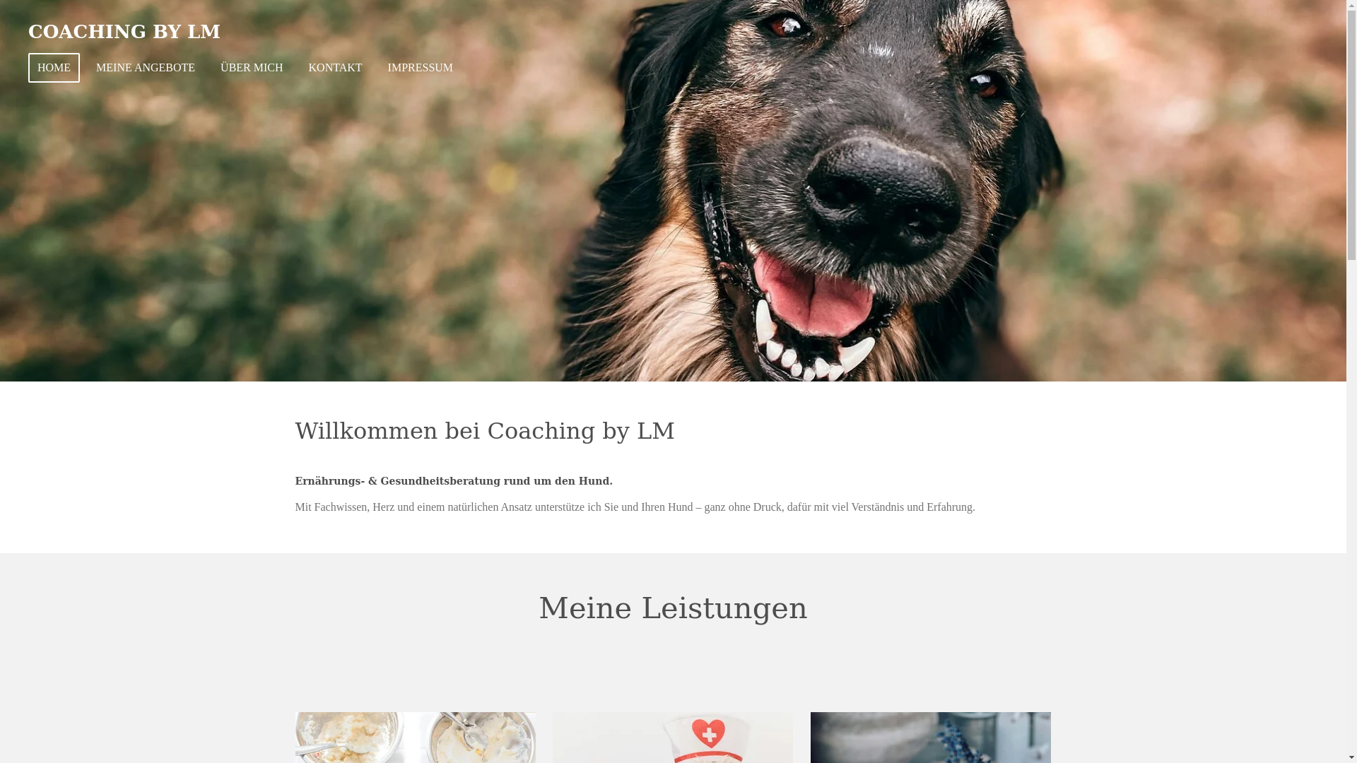 website screenshot of https://coachingbylm.de/