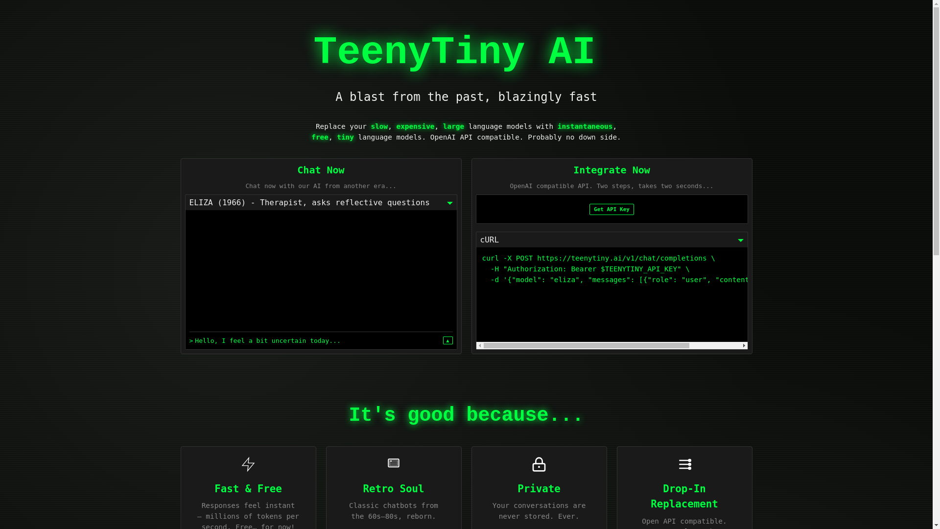 website screenshot of https://teenytiny-api-website.pages.dev/