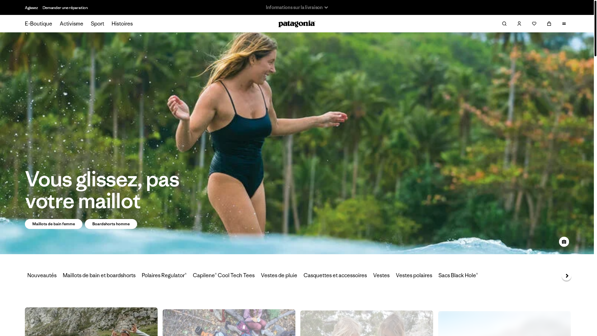 website screenshot of https://patagonia.enterprises/