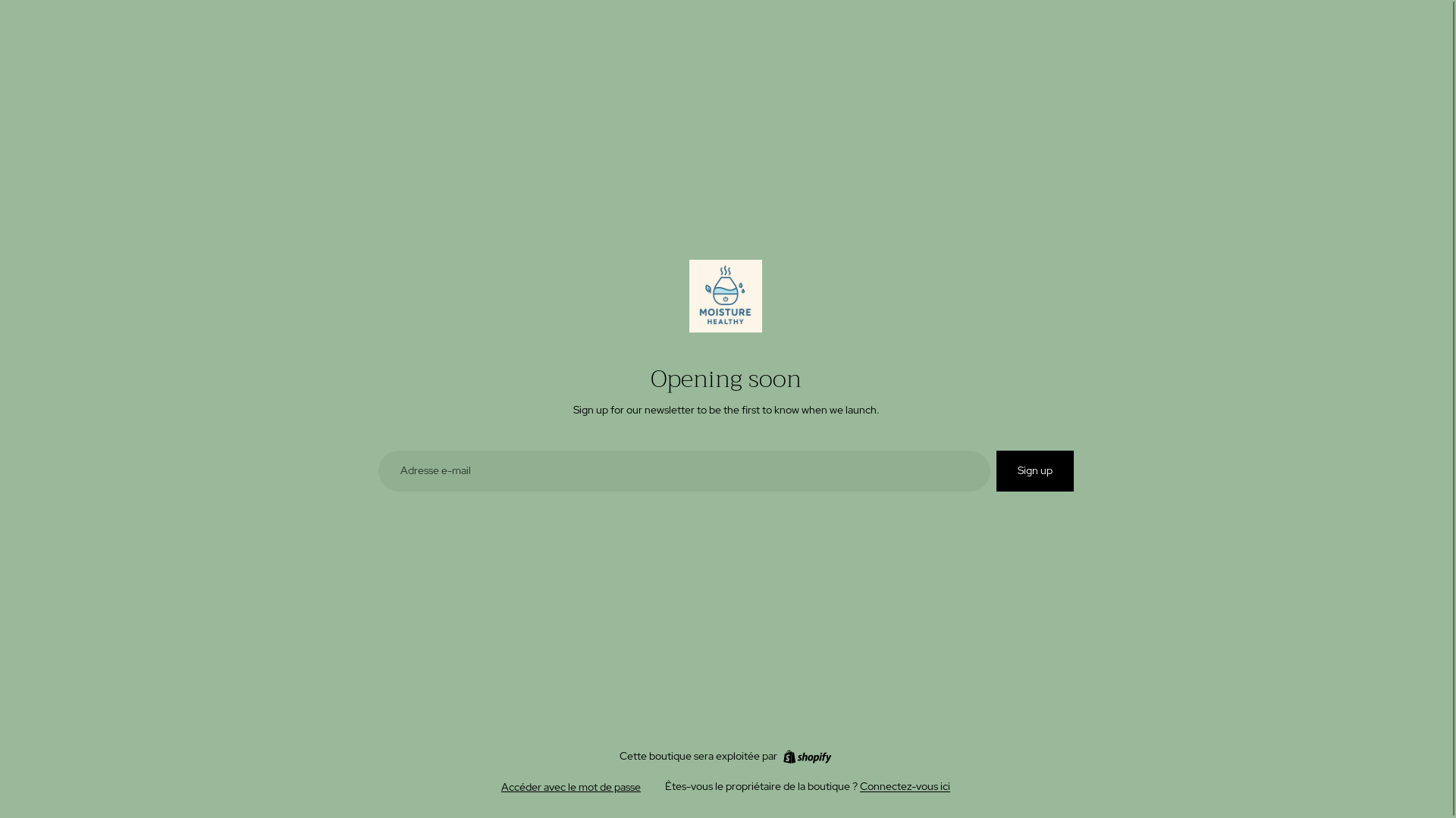 website screenshot of https://moisture-healthy-store.com/