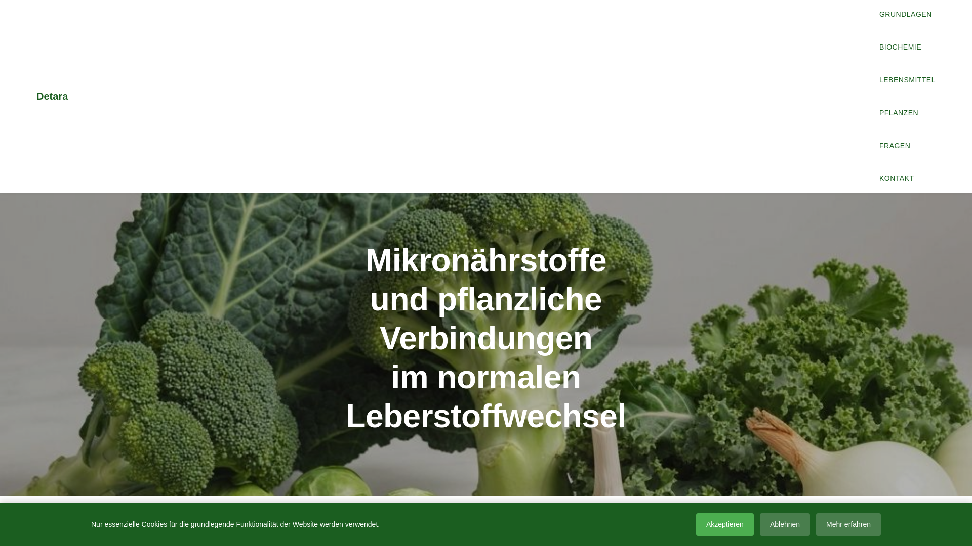 website screenshot of https://detara.info/