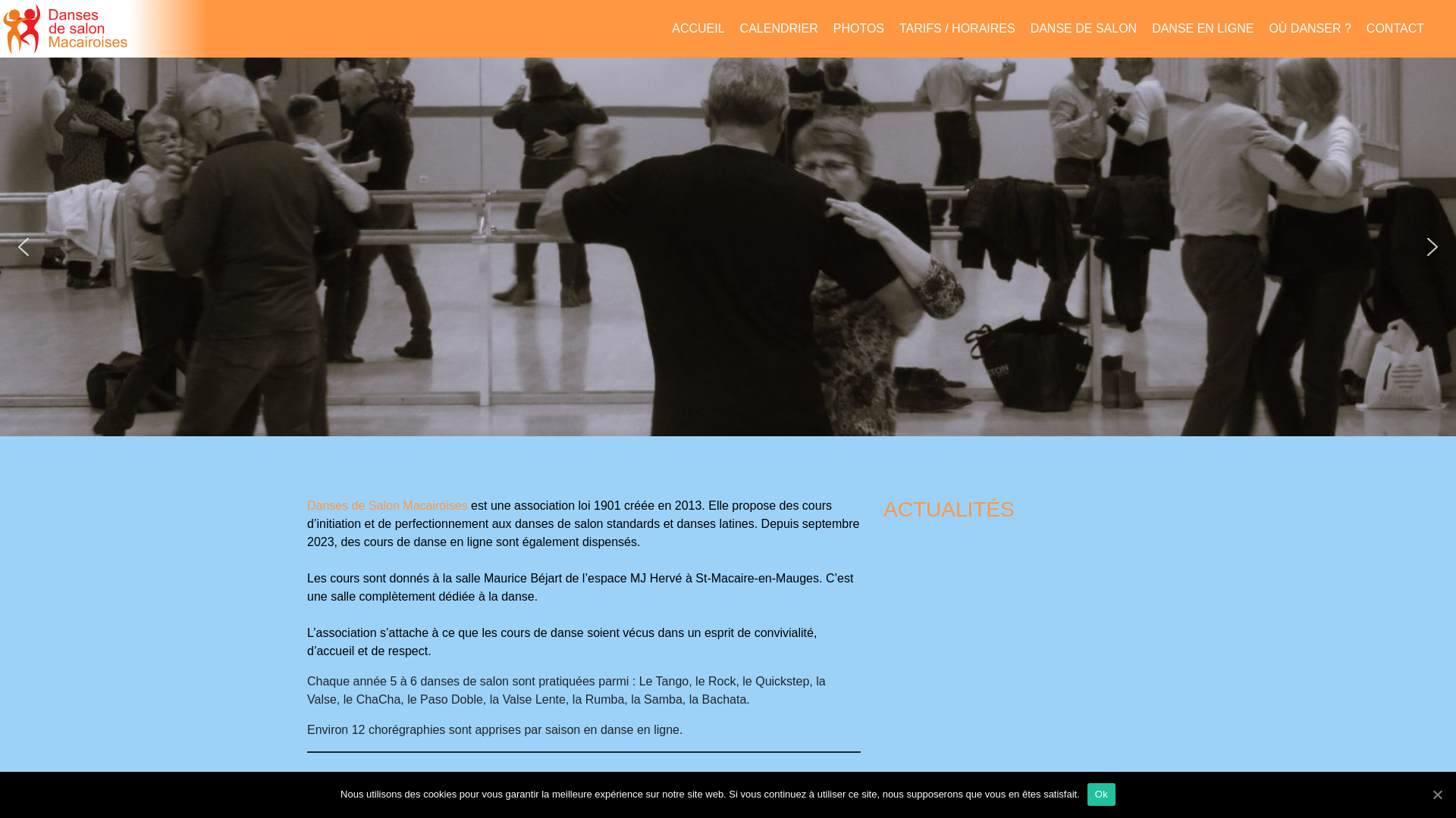 website screenshot of https://dansesdesalonstmac.fr