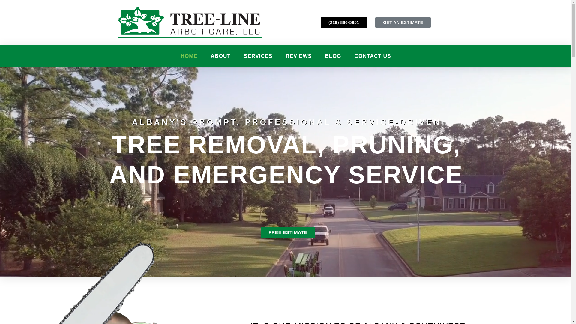 website screenshot of https://treelinelandclear.com/