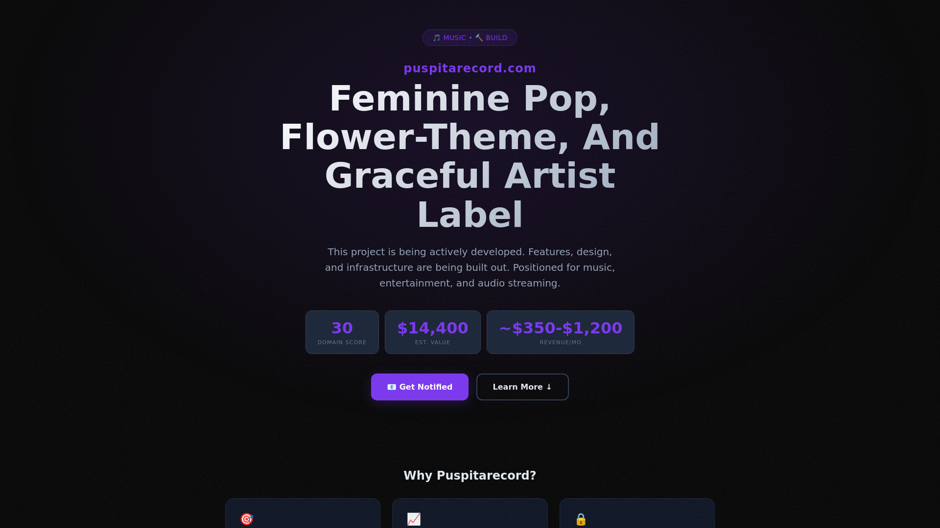 website screenshot of https://puspitarecord.com/