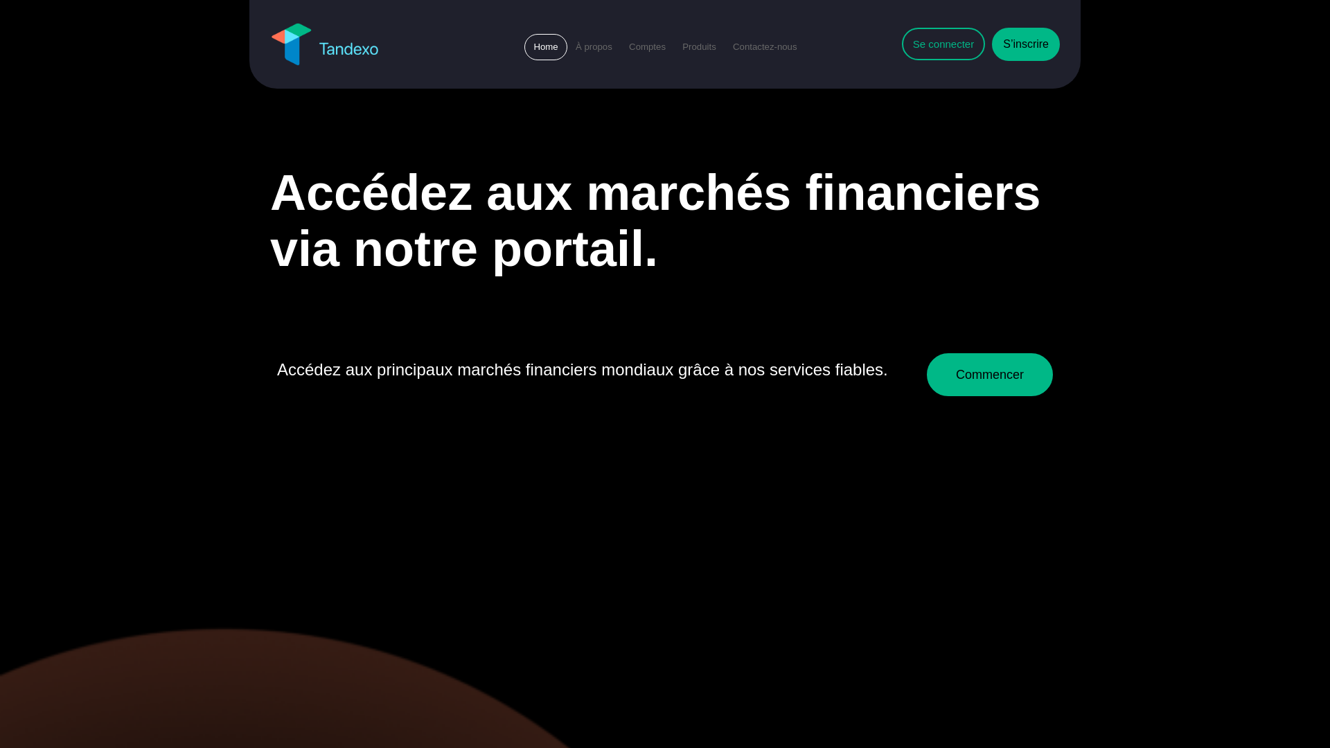 website screenshot of https://tandexo.net/