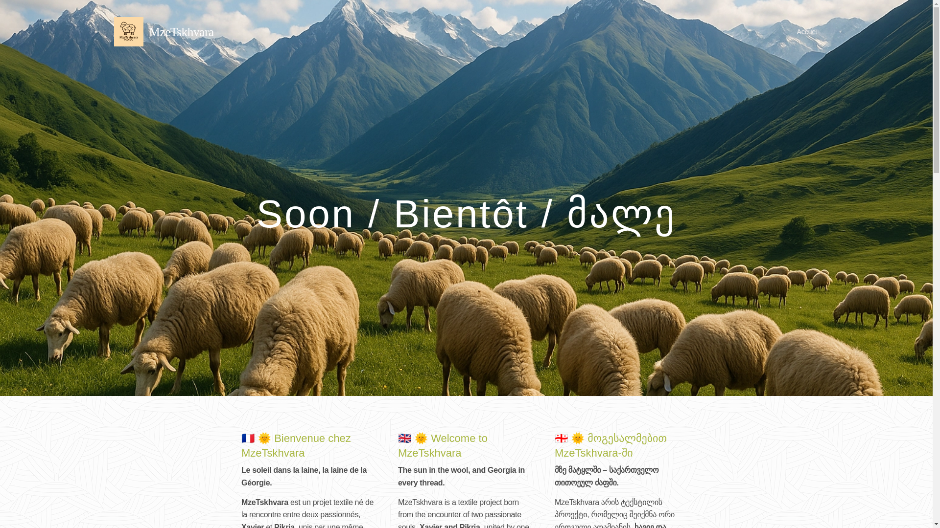 website screenshot of https://mzetskhvara.com/