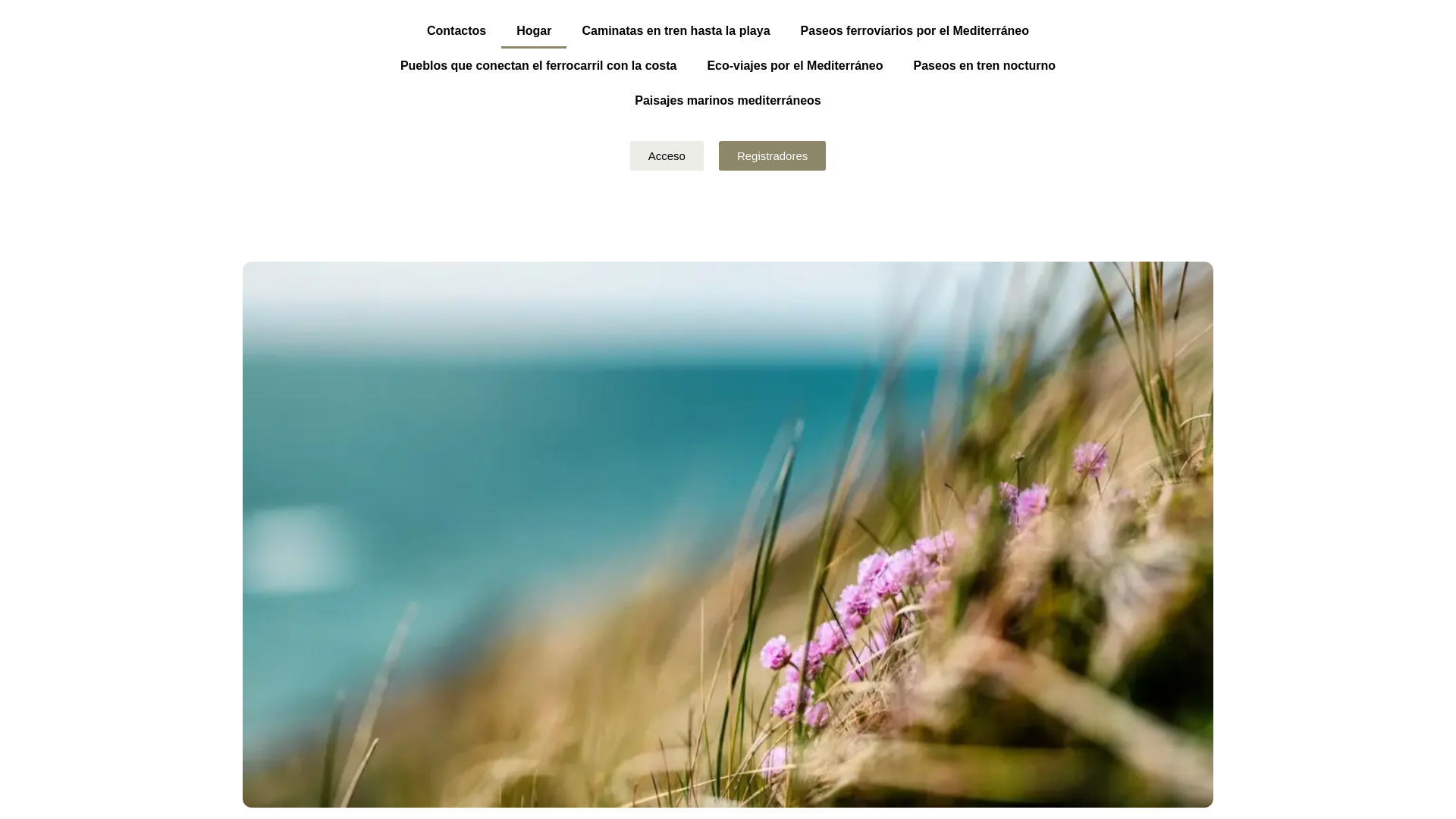 website screenshot of https://dexodavozavotemivelto.click/