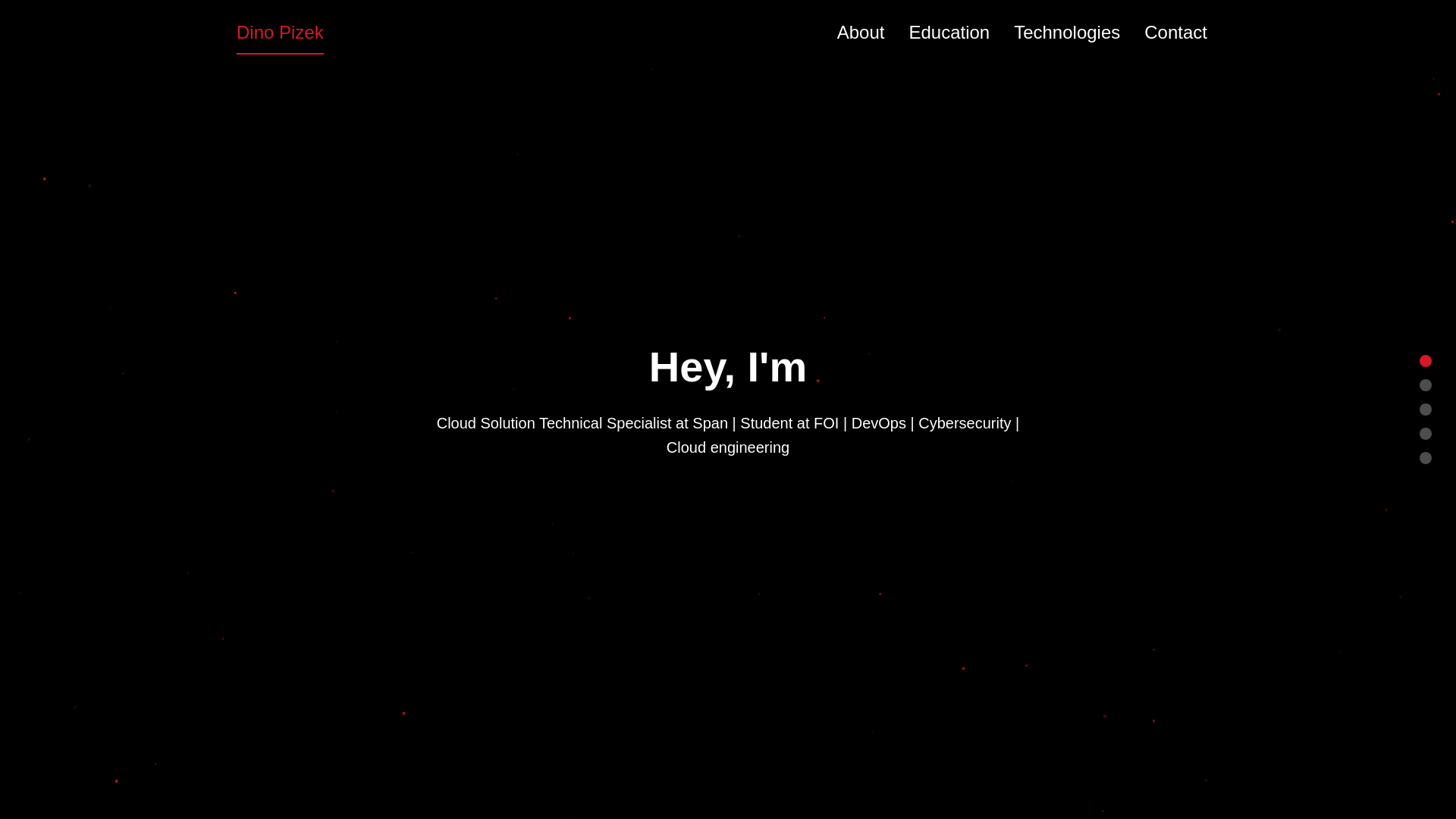 website screenshot of https://dinopizek.com/