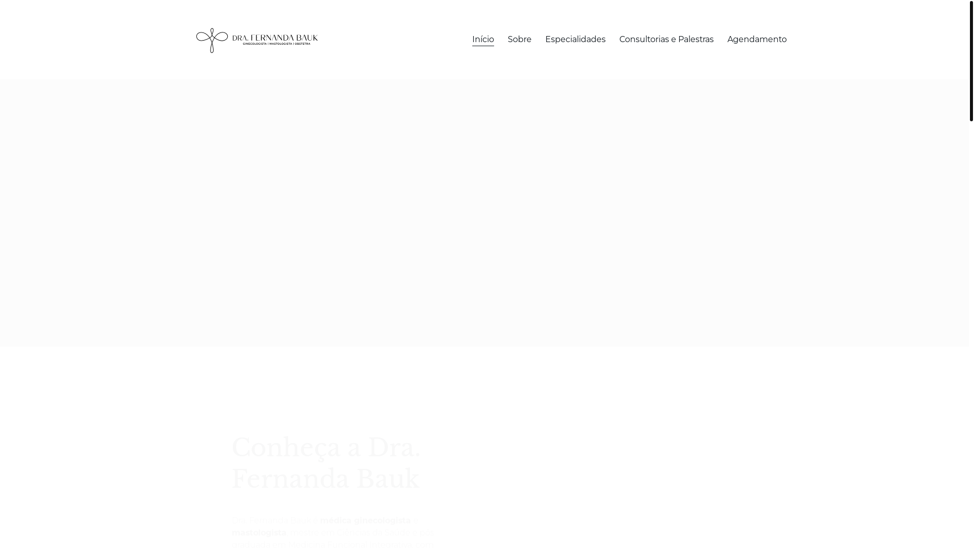 website screenshot of https://fernandabauk.com.br/