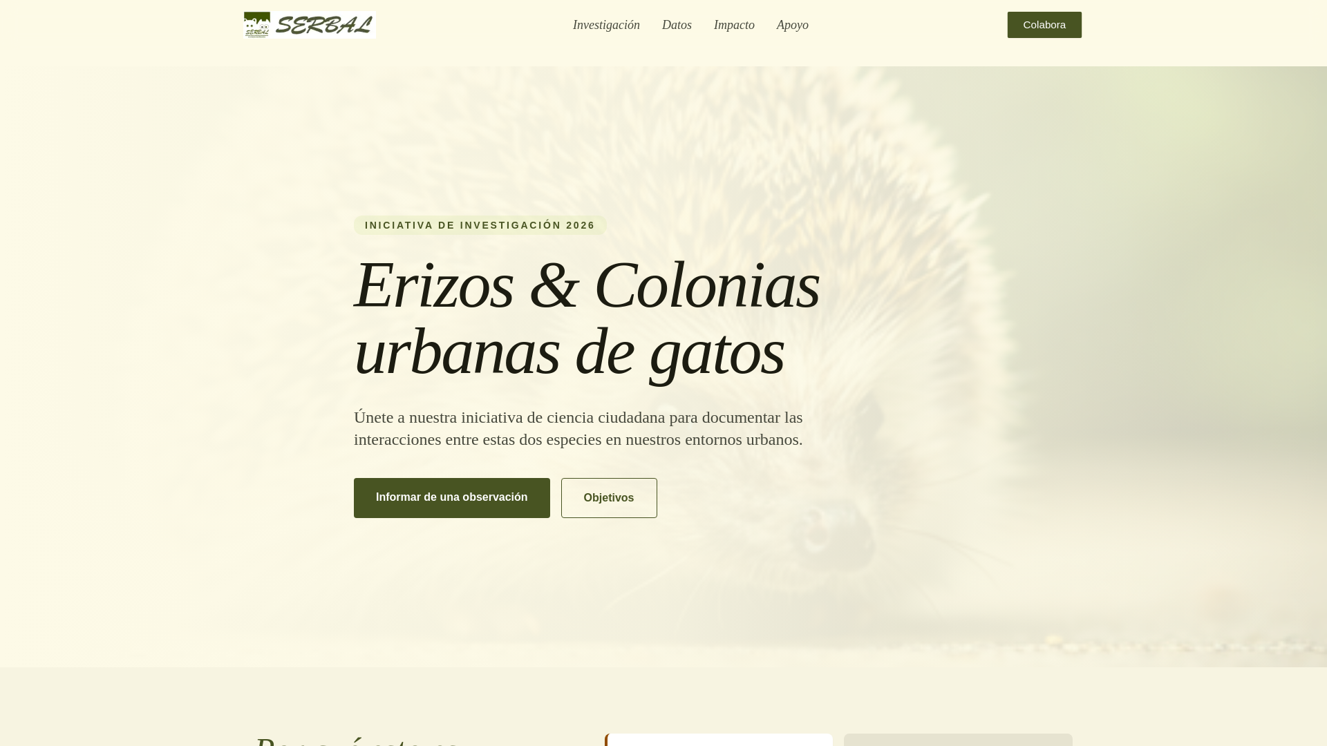 website screenshot of https://landingpage-erizos.pages.dev/