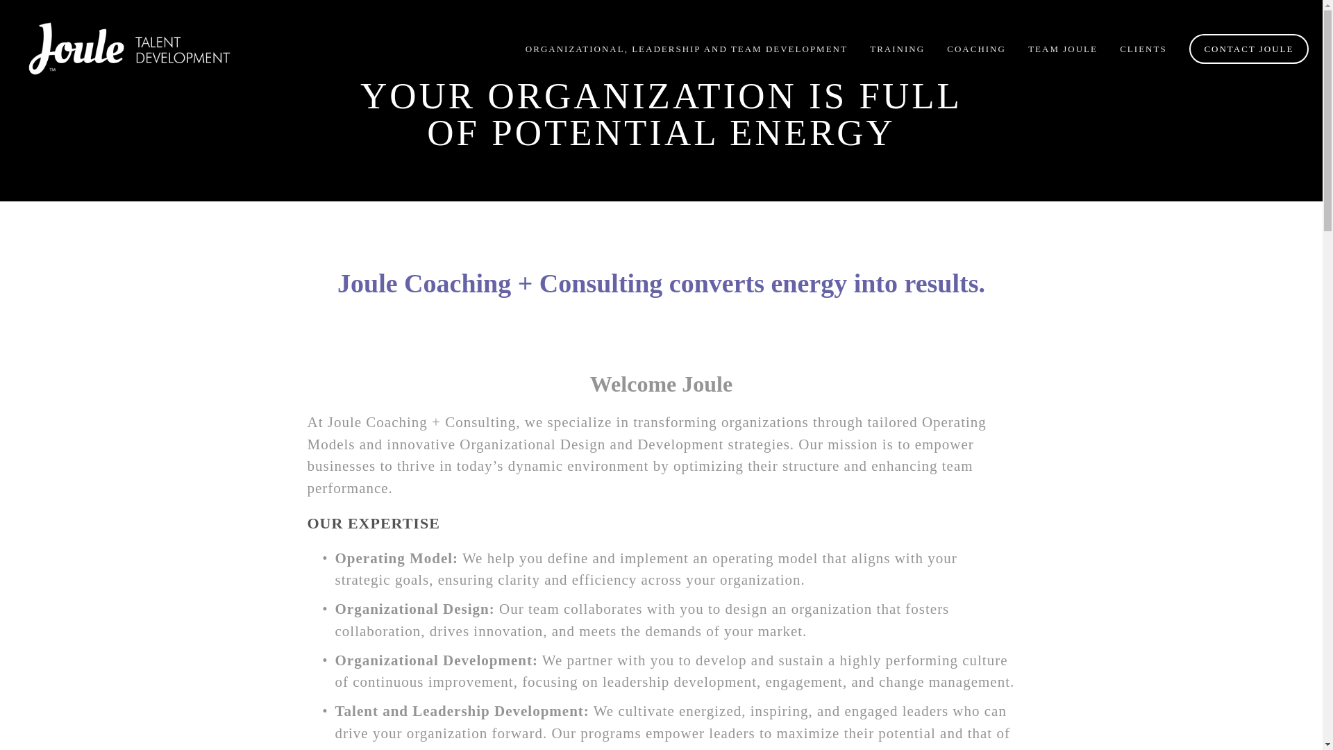 website screenshot of https://jouleleadership.com/