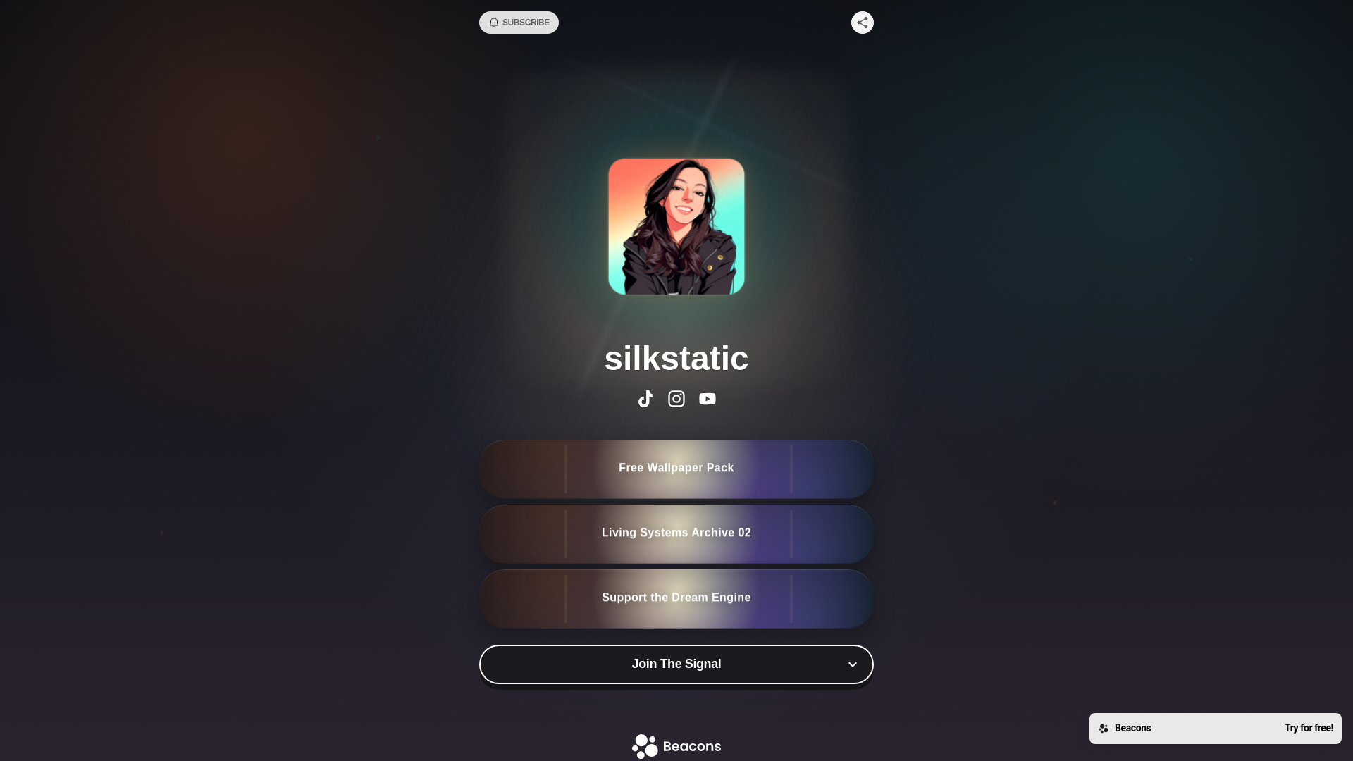 website screenshot of https://silkstatic.store