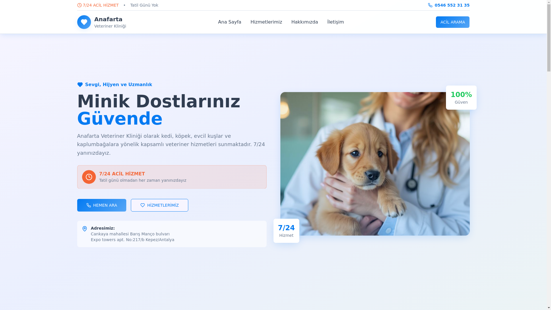 website screenshot of https://anafartaveteriner.com.tr/