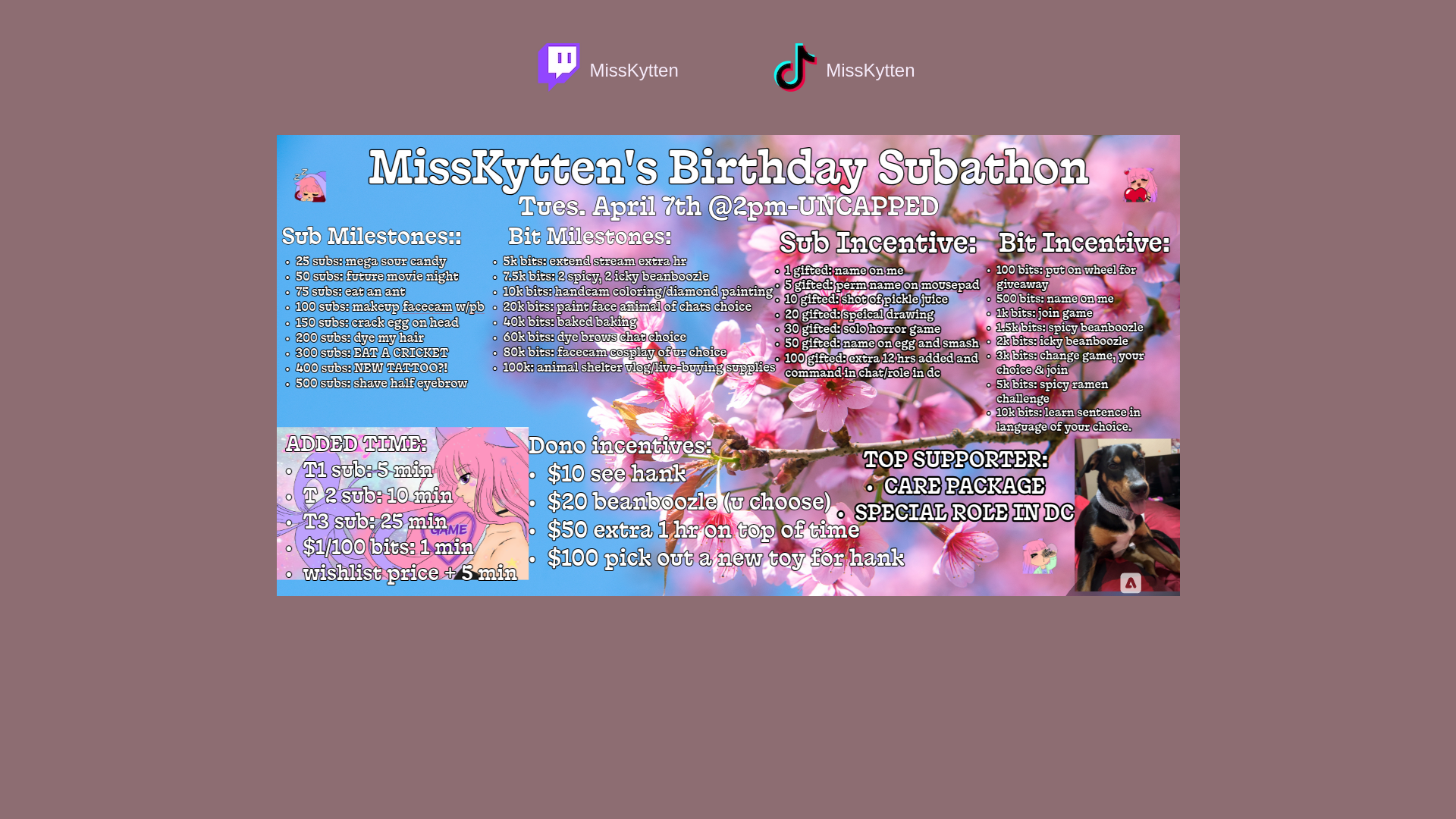 website screenshot of https://kytten.pages.dev/