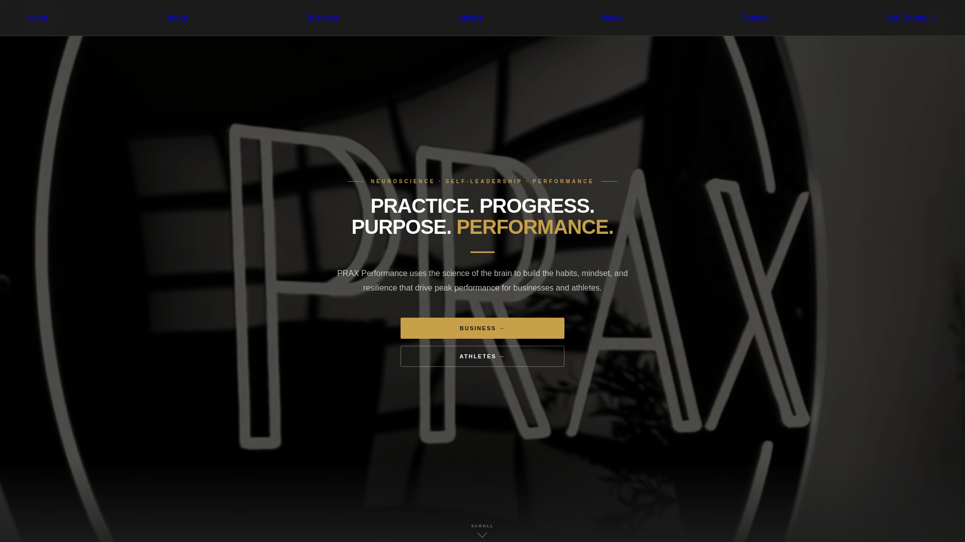 website screenshot of https://praxperformance1.pages.dev/