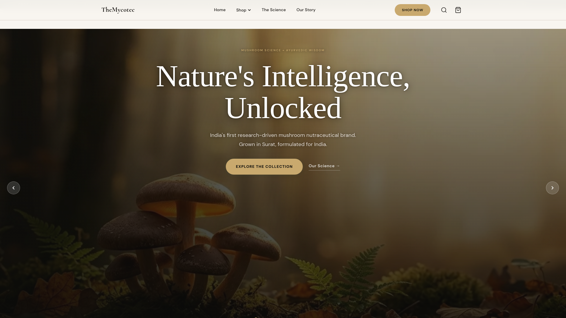 website screenshot of https://themycotec.com