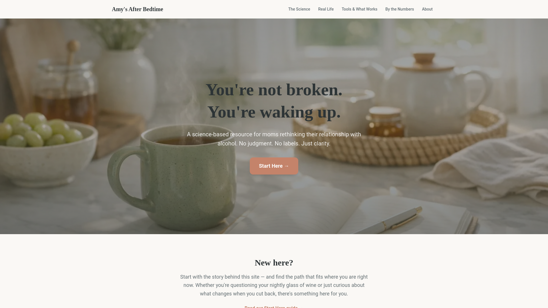 website screenshot of https://clear-mom-reframe.pages.dev/
