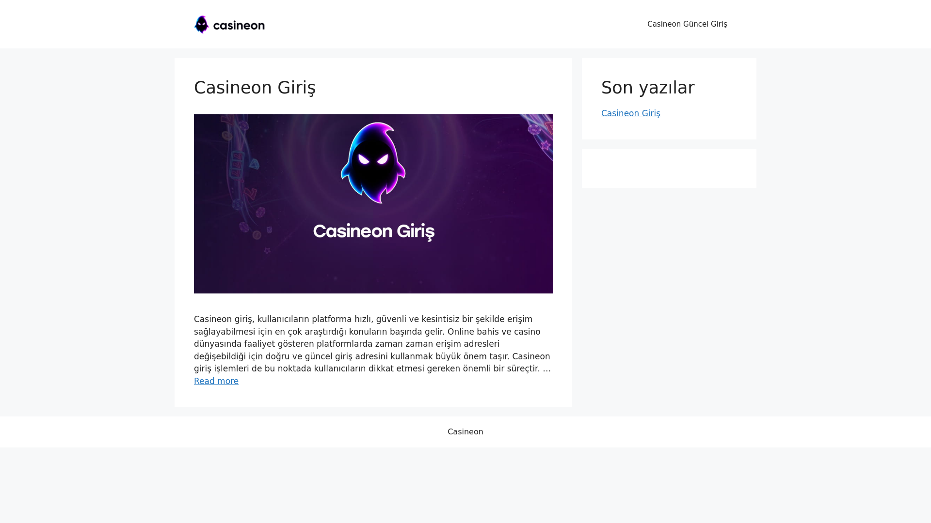 website screenshot of https://casineongirisi.org/