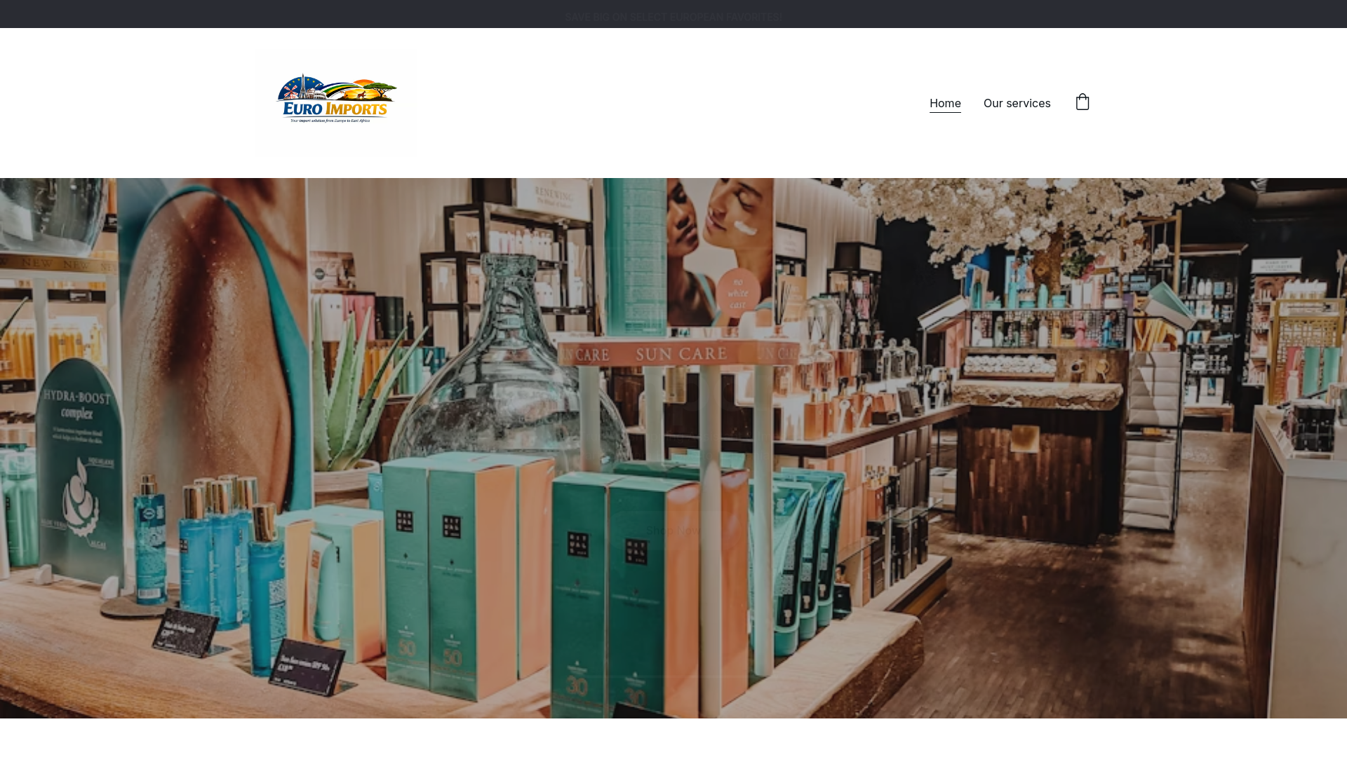 website screenshot of https://euroimportstz.com