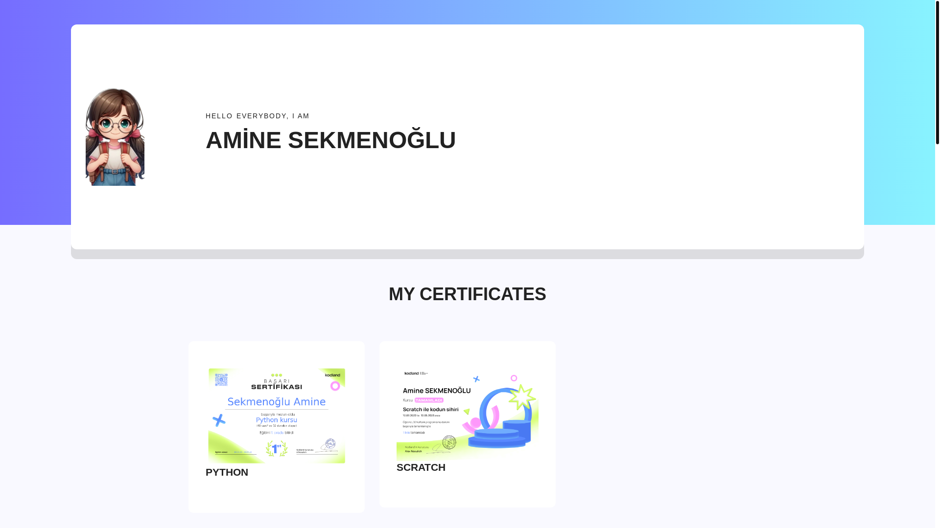 website screenshot of https://amine-sekmenoglu.pages.dev/