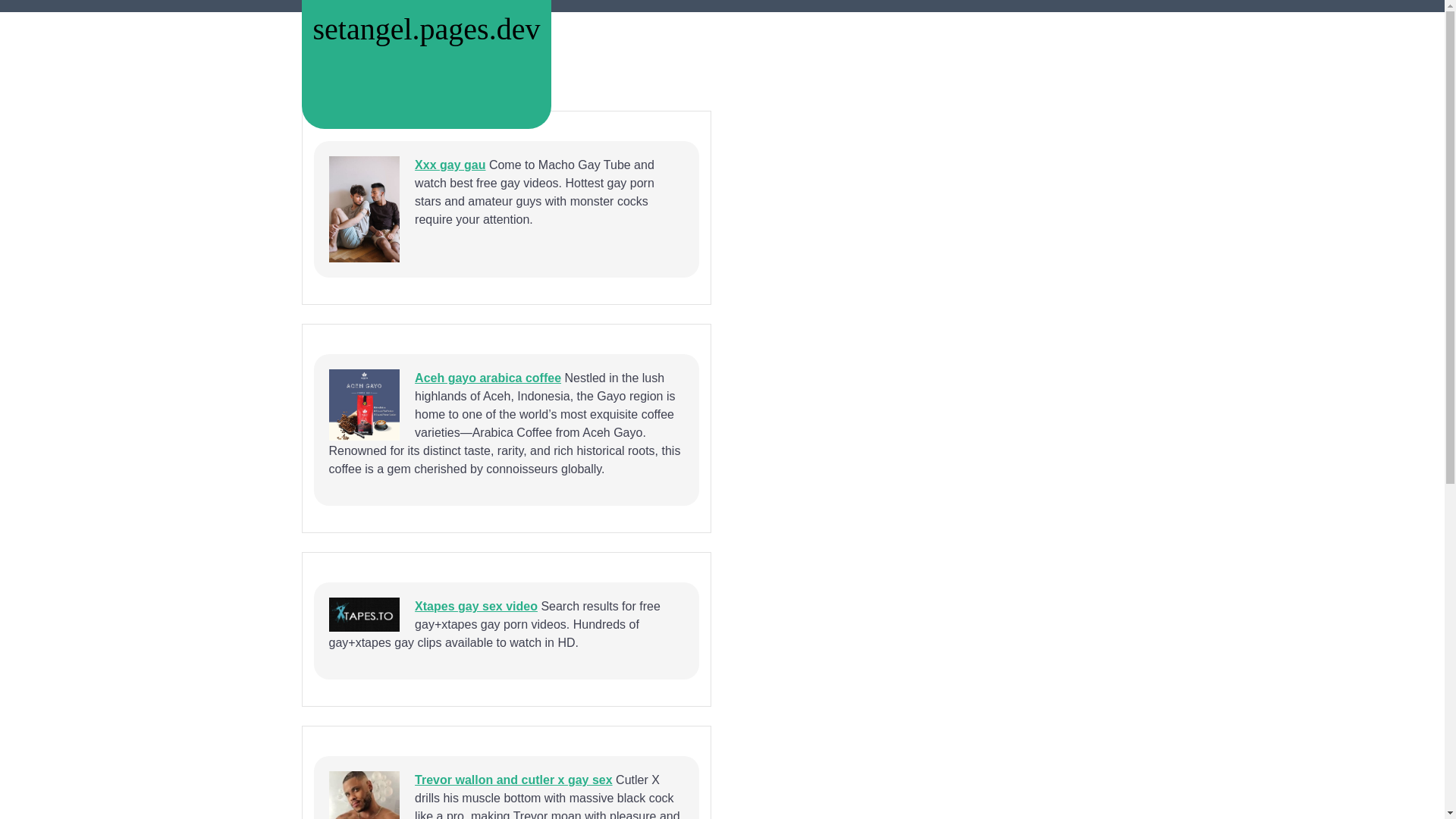 website screenshot of https://setangel.pages.dev/