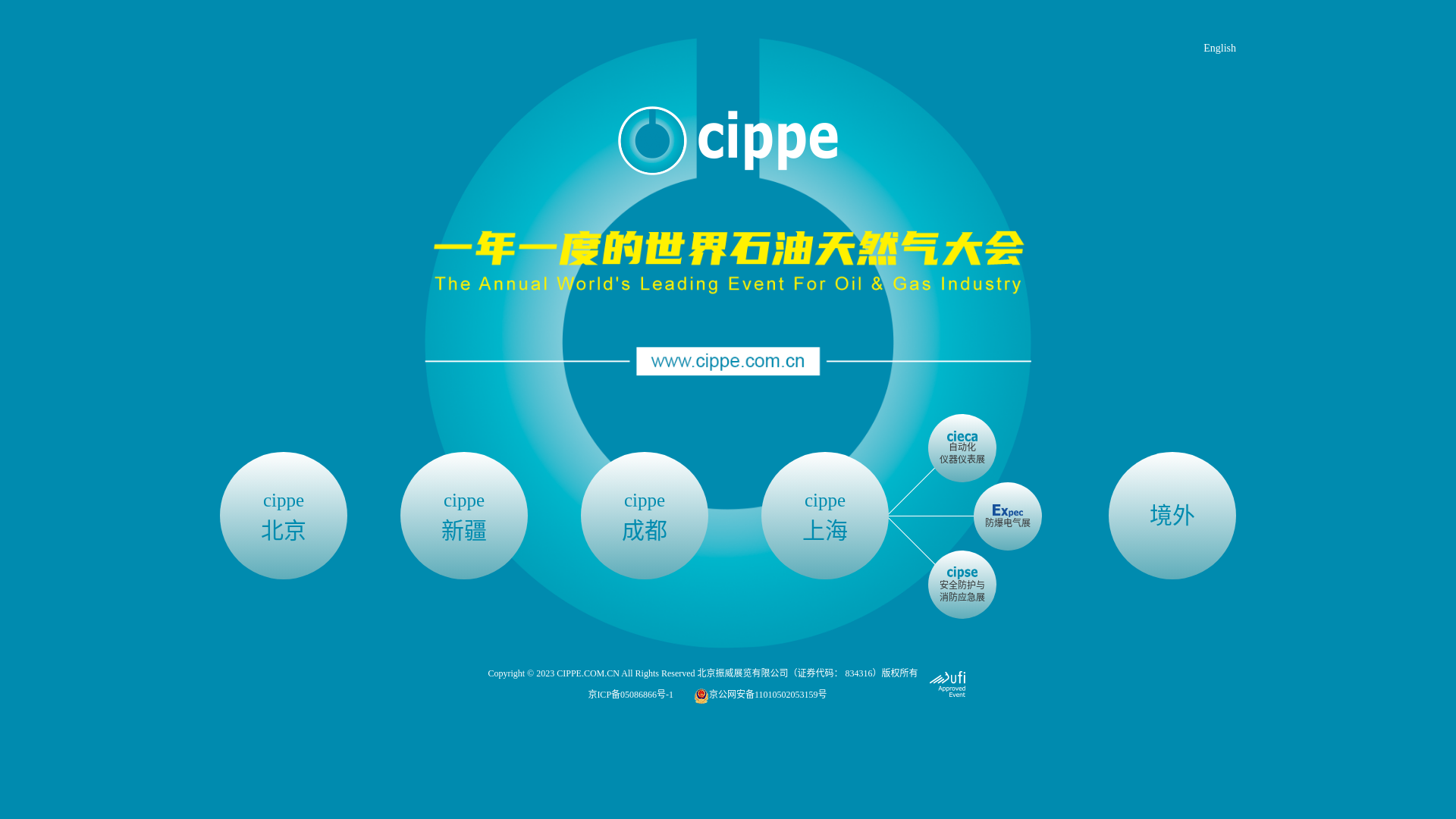 website screenshot of https://www.cippe.com.cn