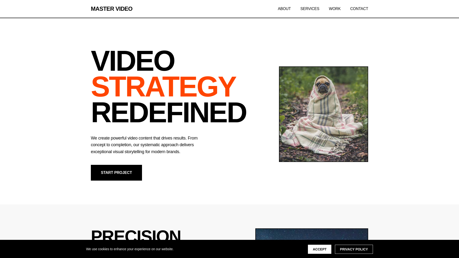 website screenshot of https://mastervideostrategy.xyz