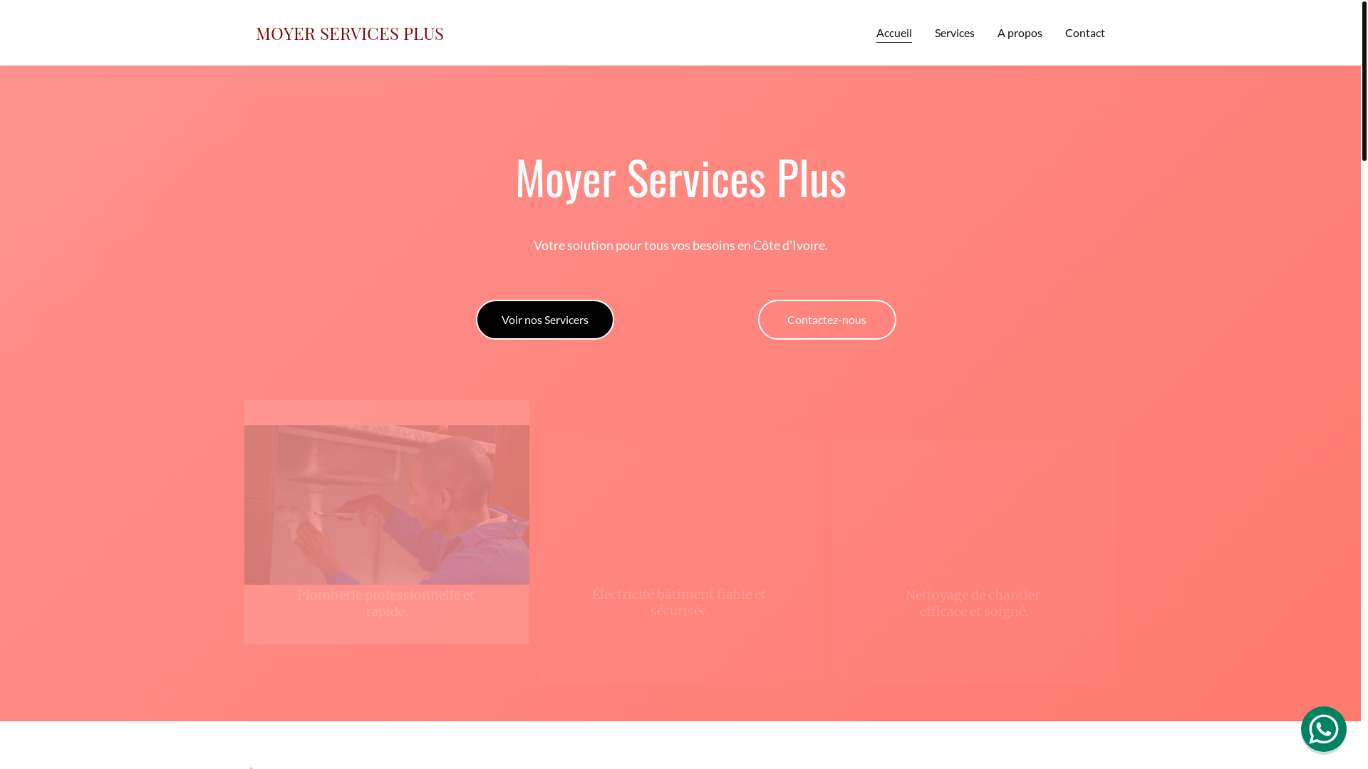 website screenshot of https://moyerservicesplus.site/