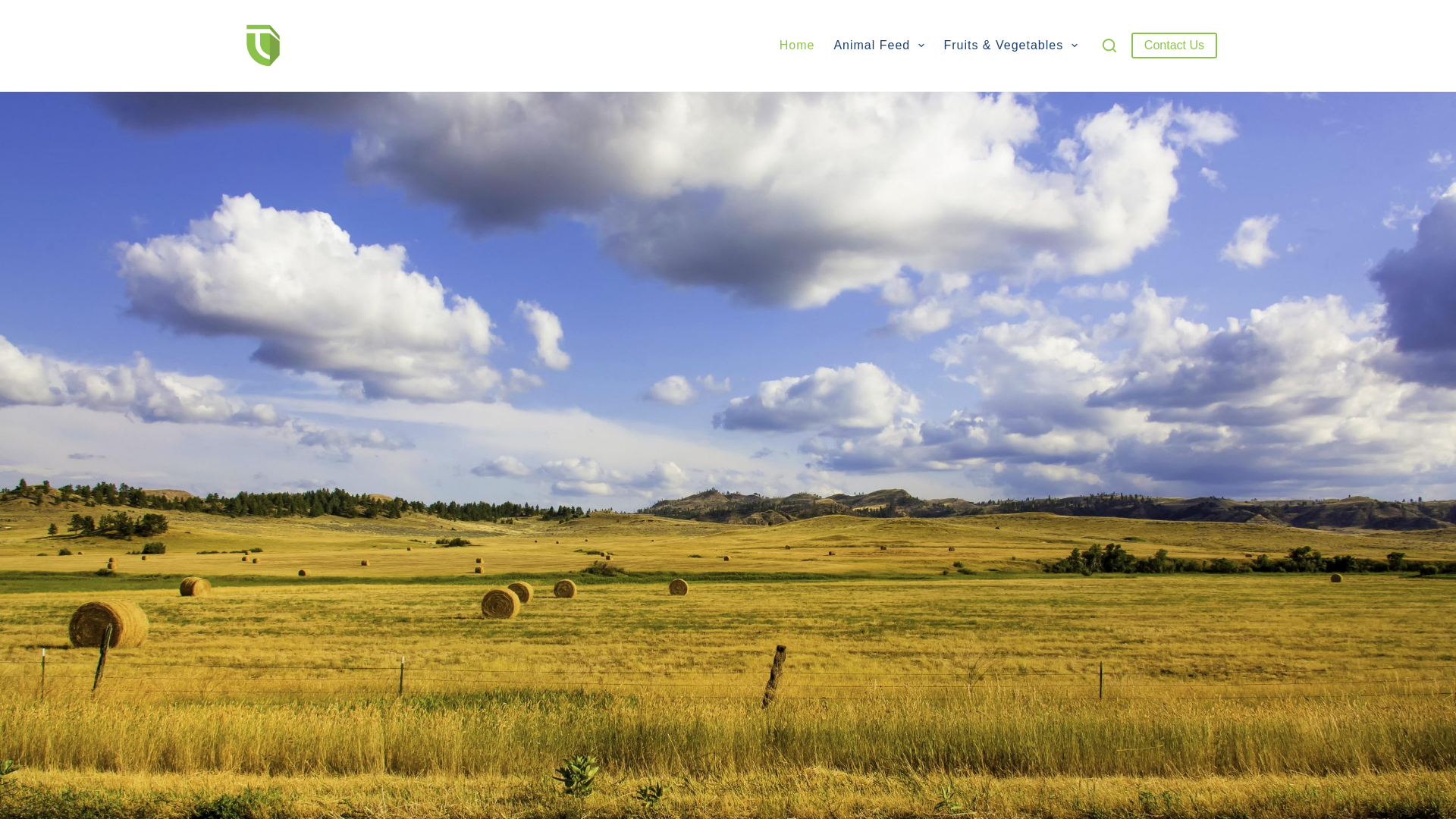 website screenshot of https://tradematesco.com/