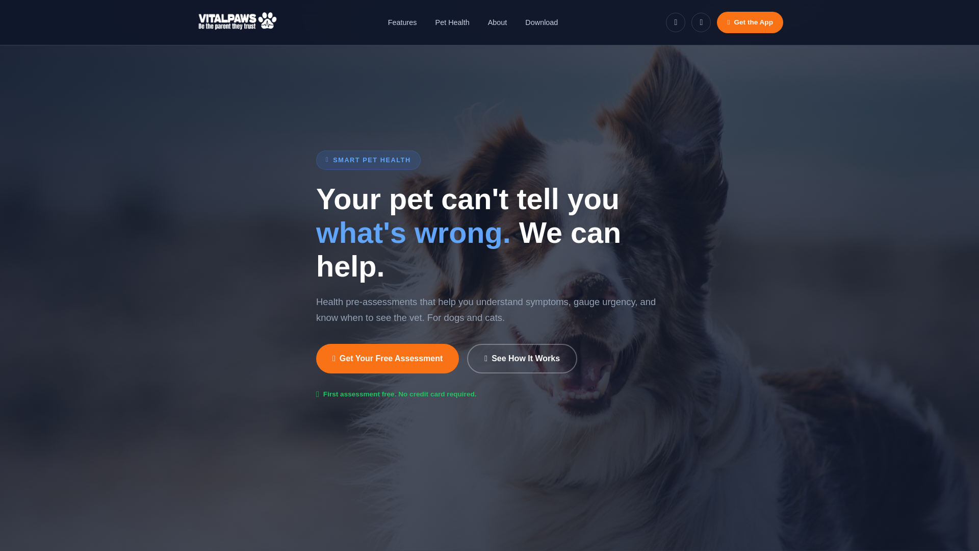 website screenshot of https://vitalpaws.care/