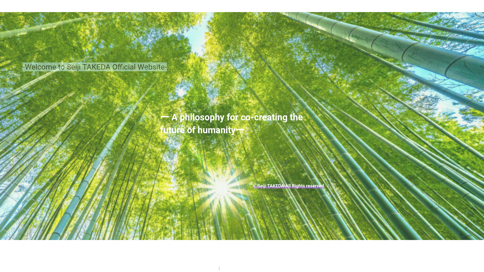 website screenshot of https://takeda-philosophy.net/