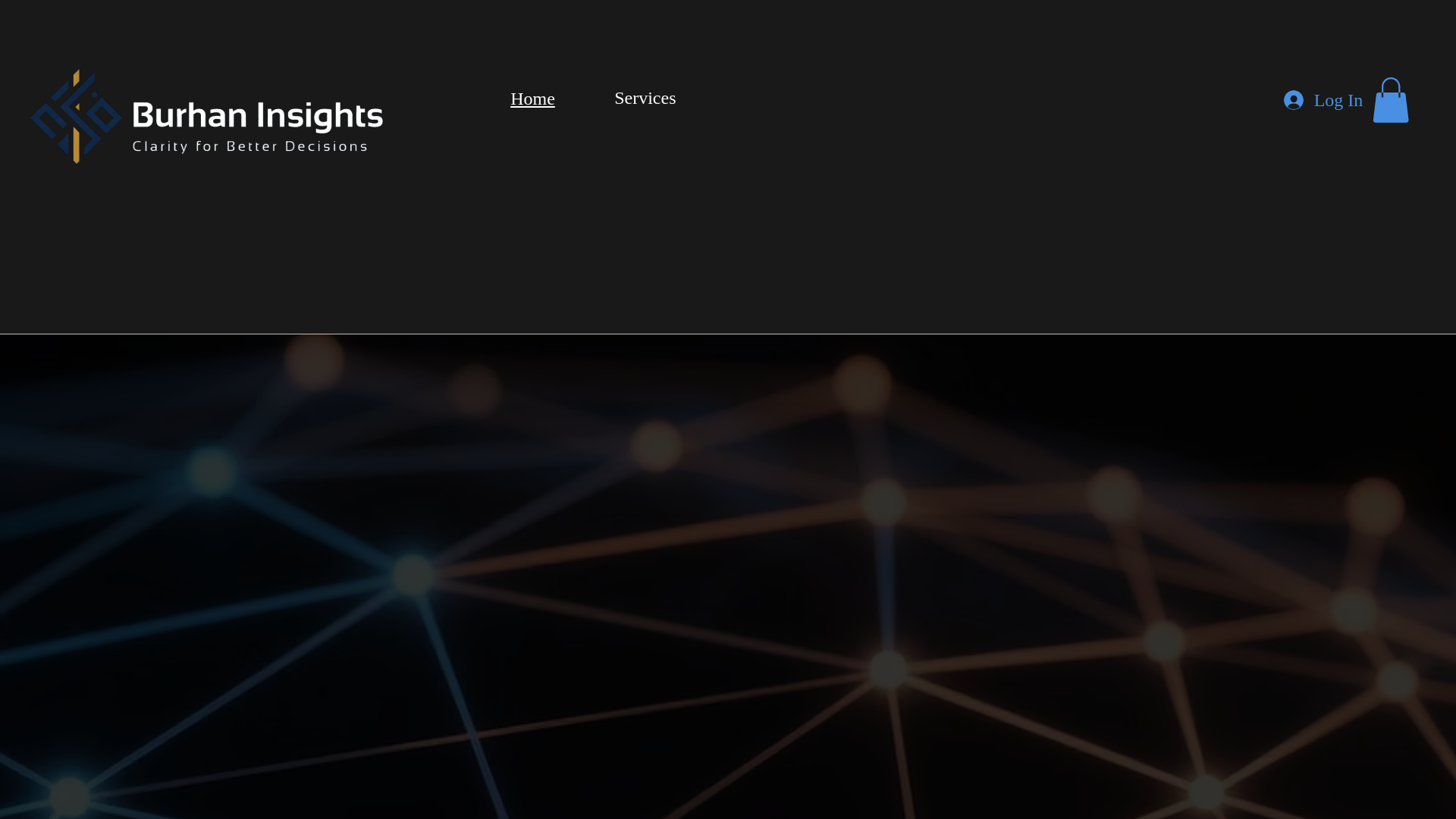 website screenshot of https://burhaninsights.com