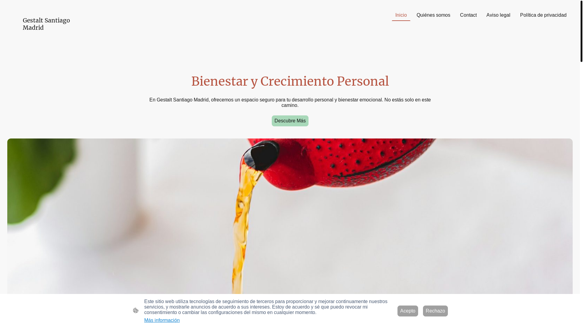 website screenshot of https://gestaltsantiago.es/