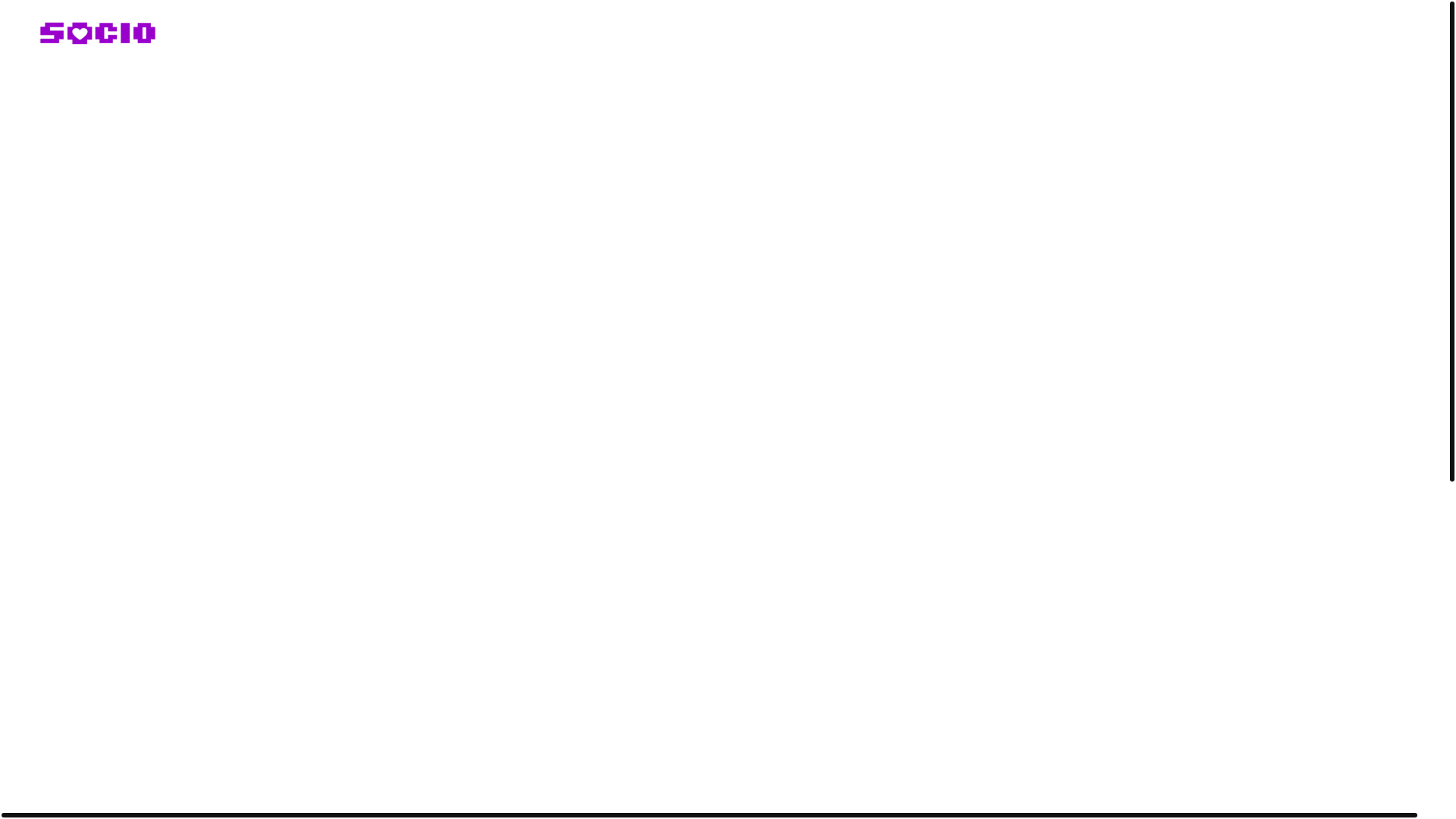 website screenshot of https://socioonfleek.xyz/