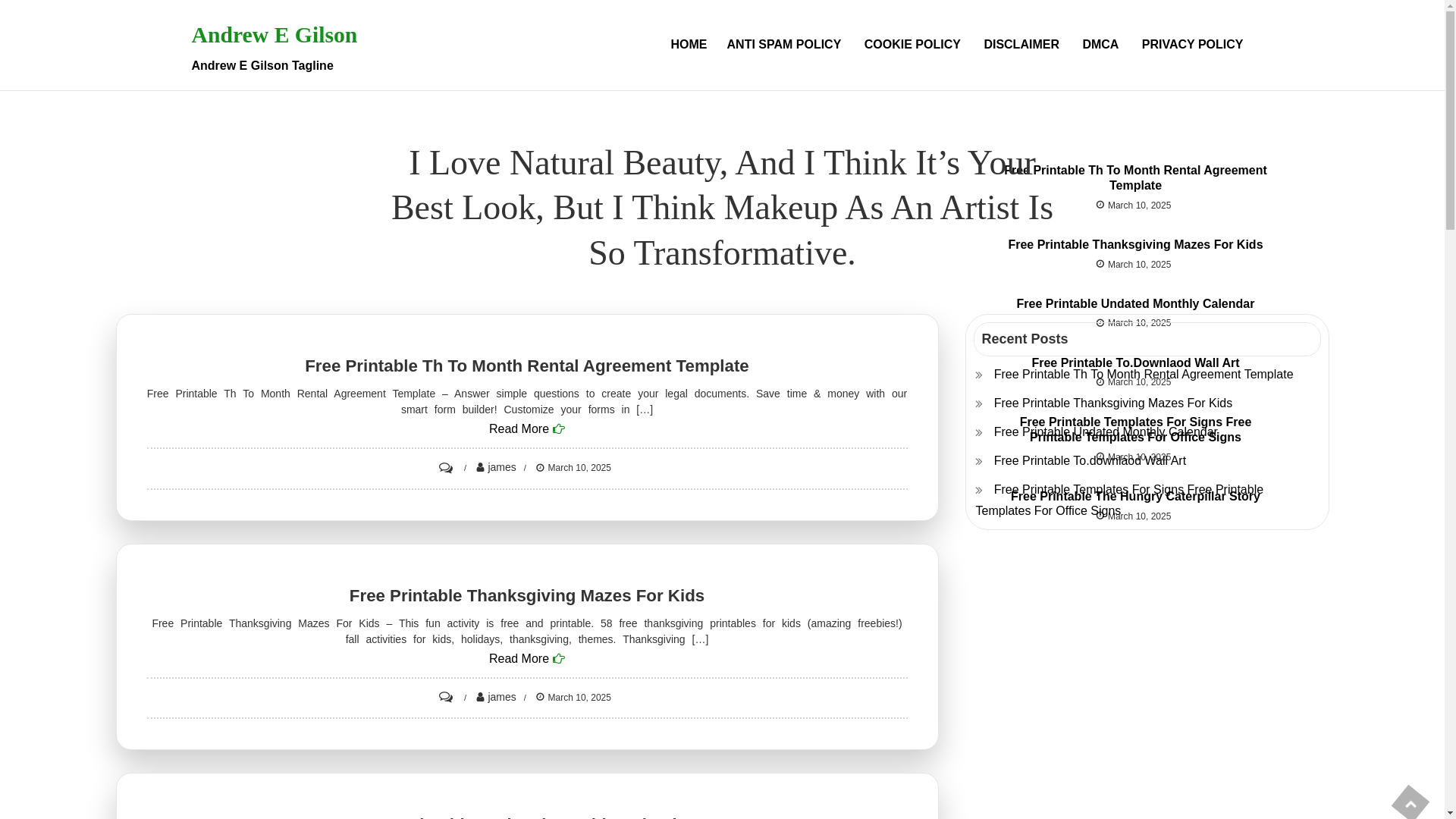 website screenshot of https://andrewegilsonr.pages.dev/