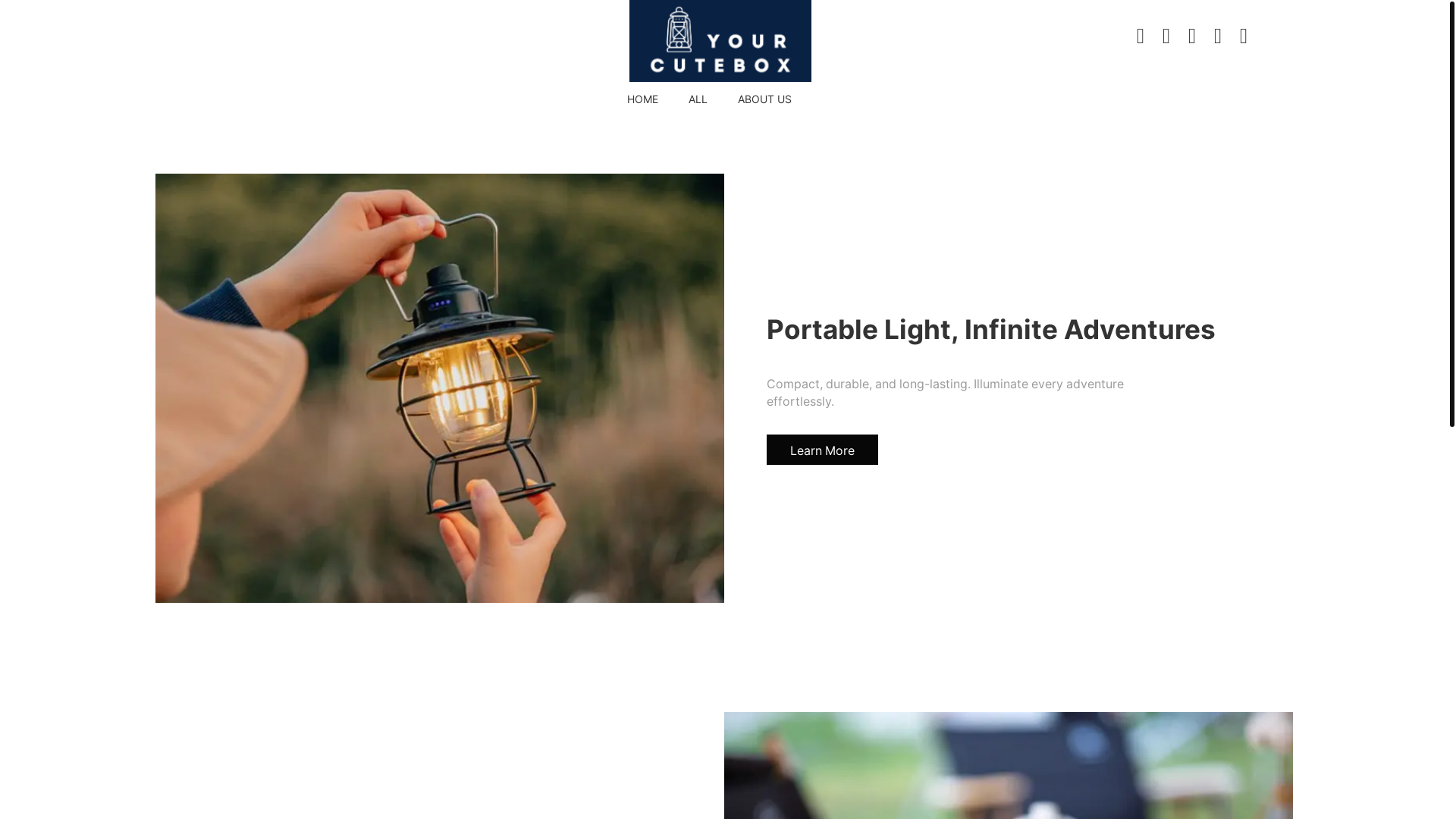 website screenshot of https://thegiftproduct.com/