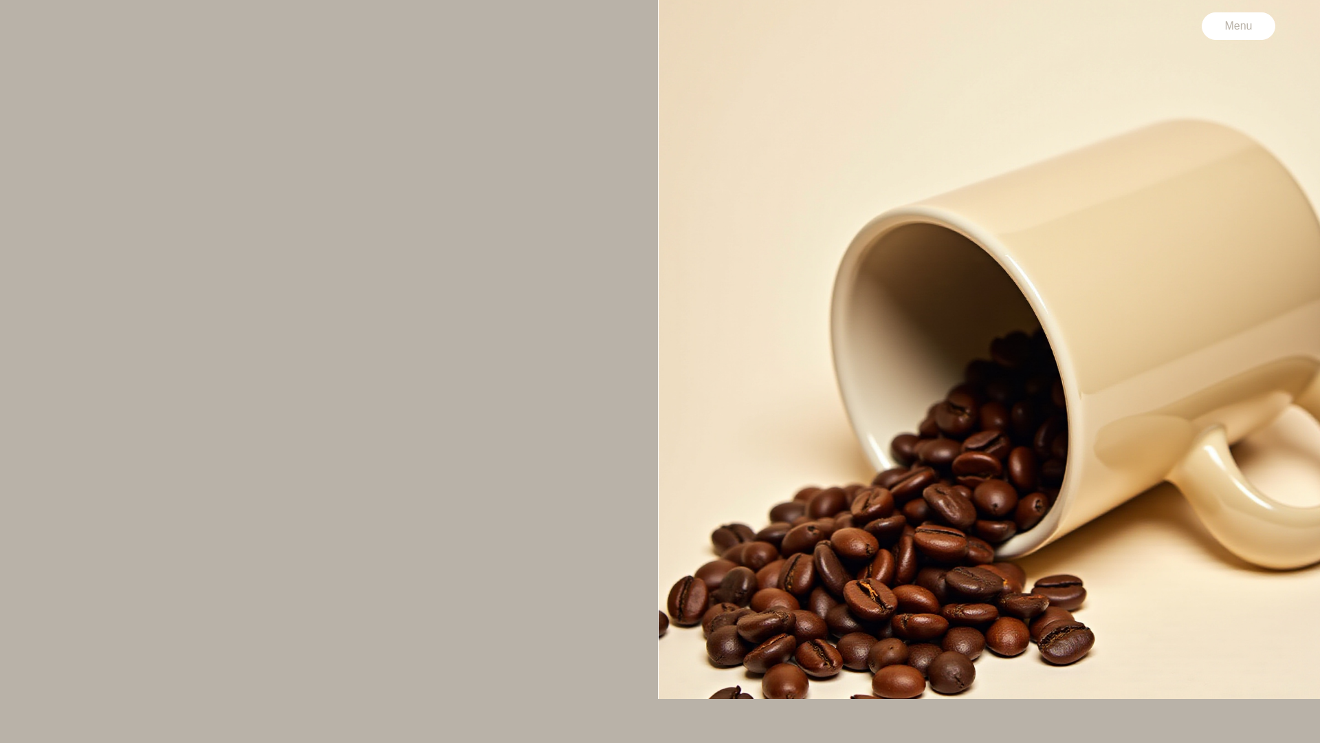 website screenshot of https://altsa.de