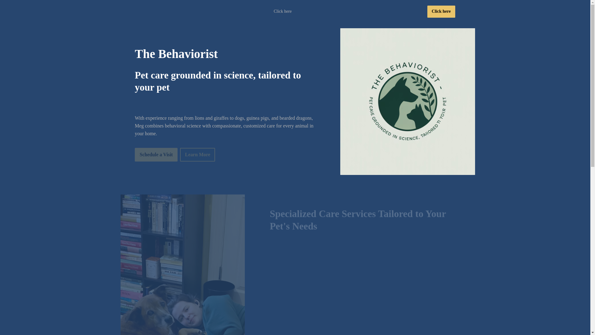 website screenshot of https://thebehaviorist.online/