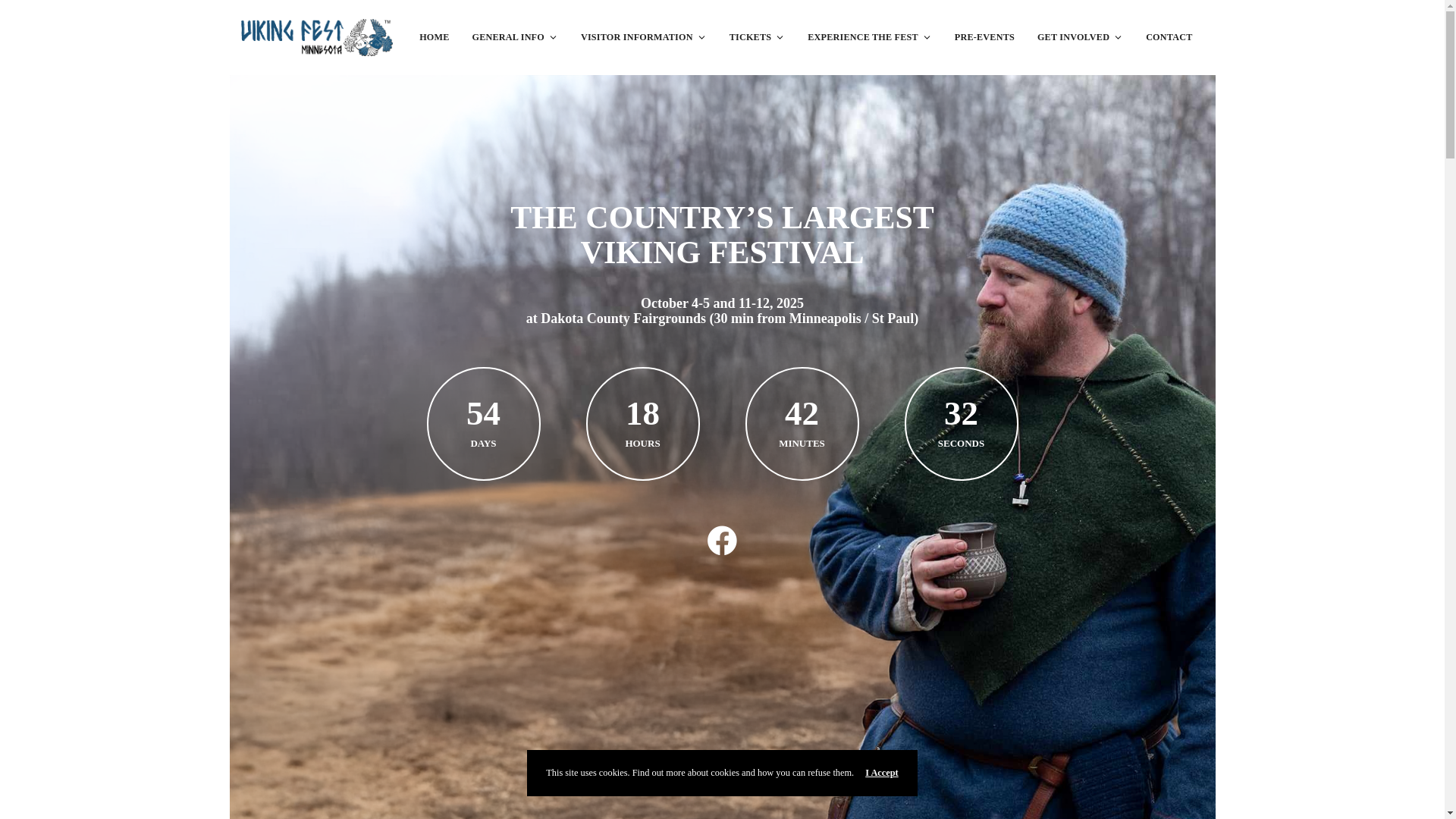 website screenshot of https://greatnorthernviking.com/