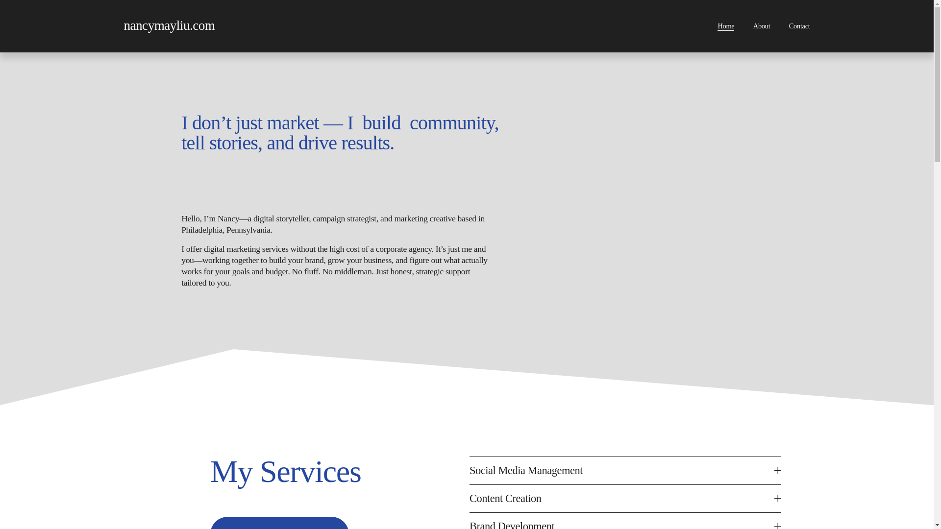 website screenshot of https://nancymayliu.com/